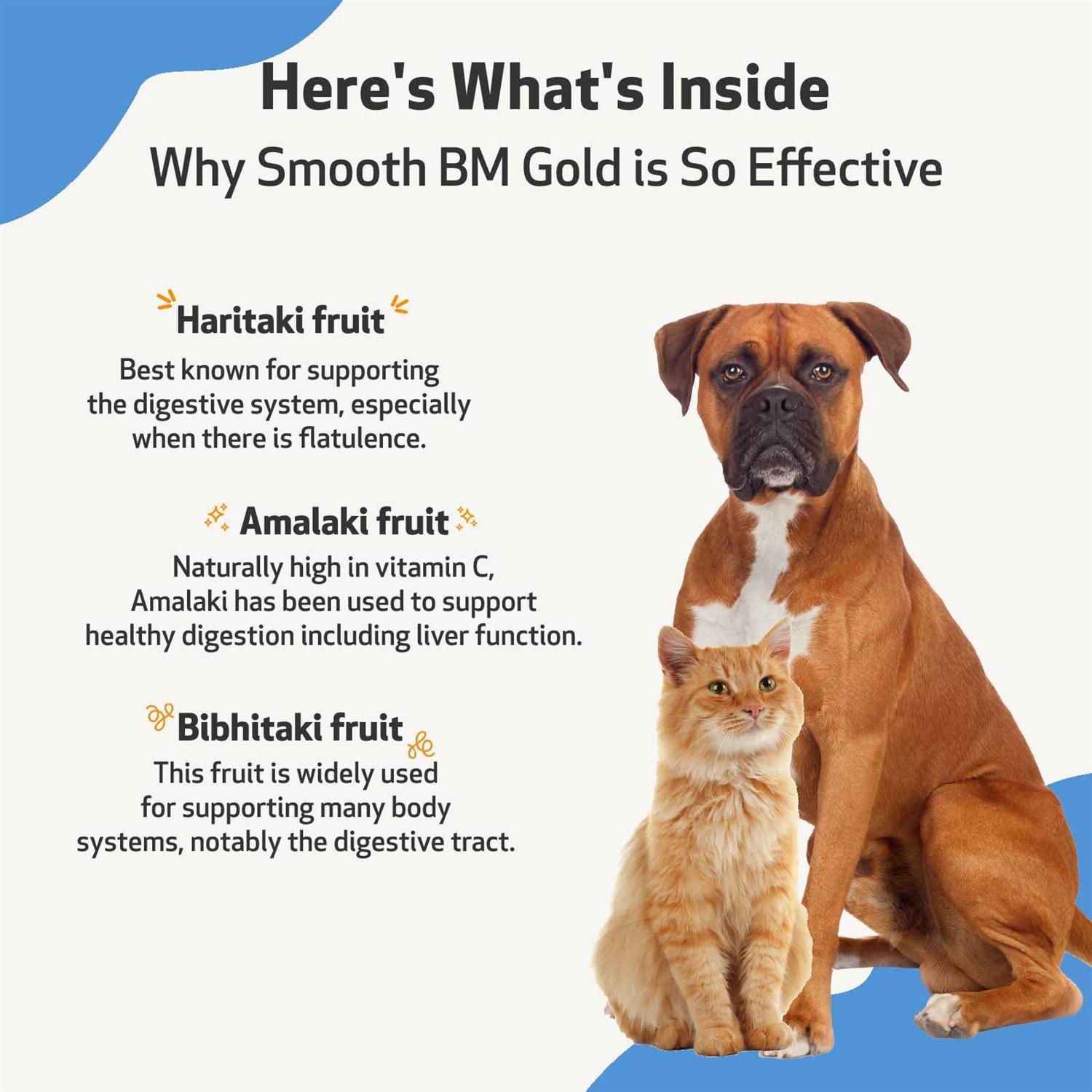 Pet Wellbeing Smooth BM Gold - Healthber