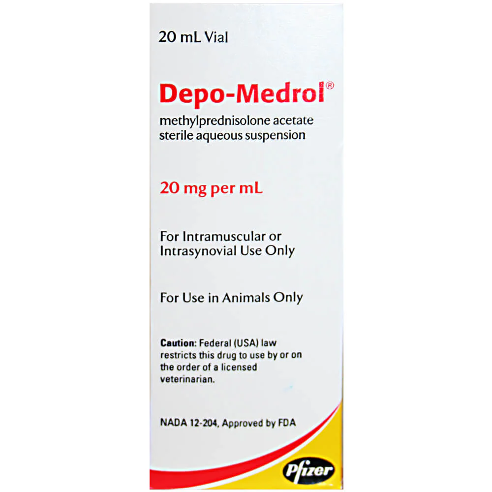 Rx Depo-Medrol? Injection for Dogs, Cats, & Horses - Healthber