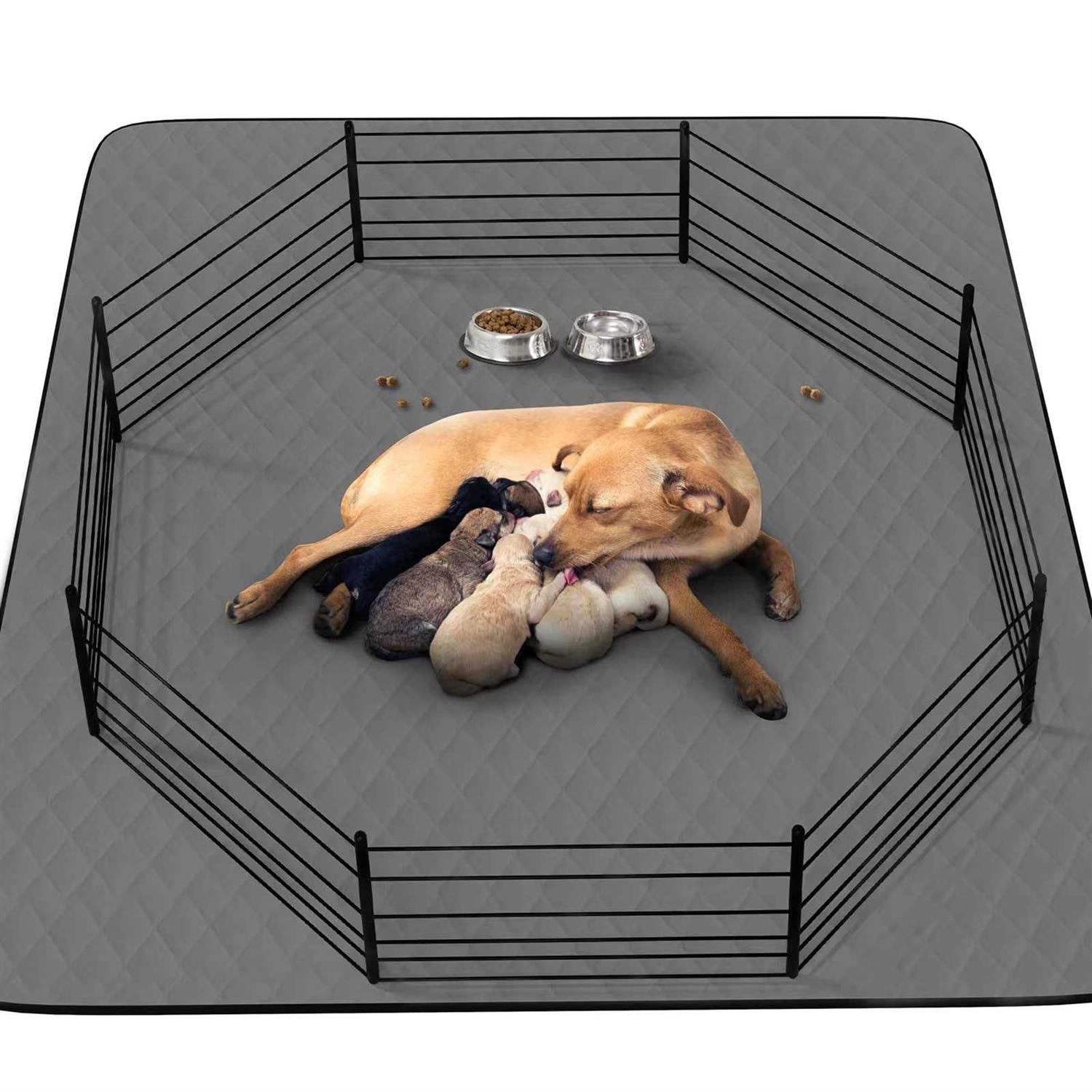 CoolShields Washable Puppy Dog Pee Pad Extra Large Waterproof Whelping Training Pet Mat for Playpen - Healthber