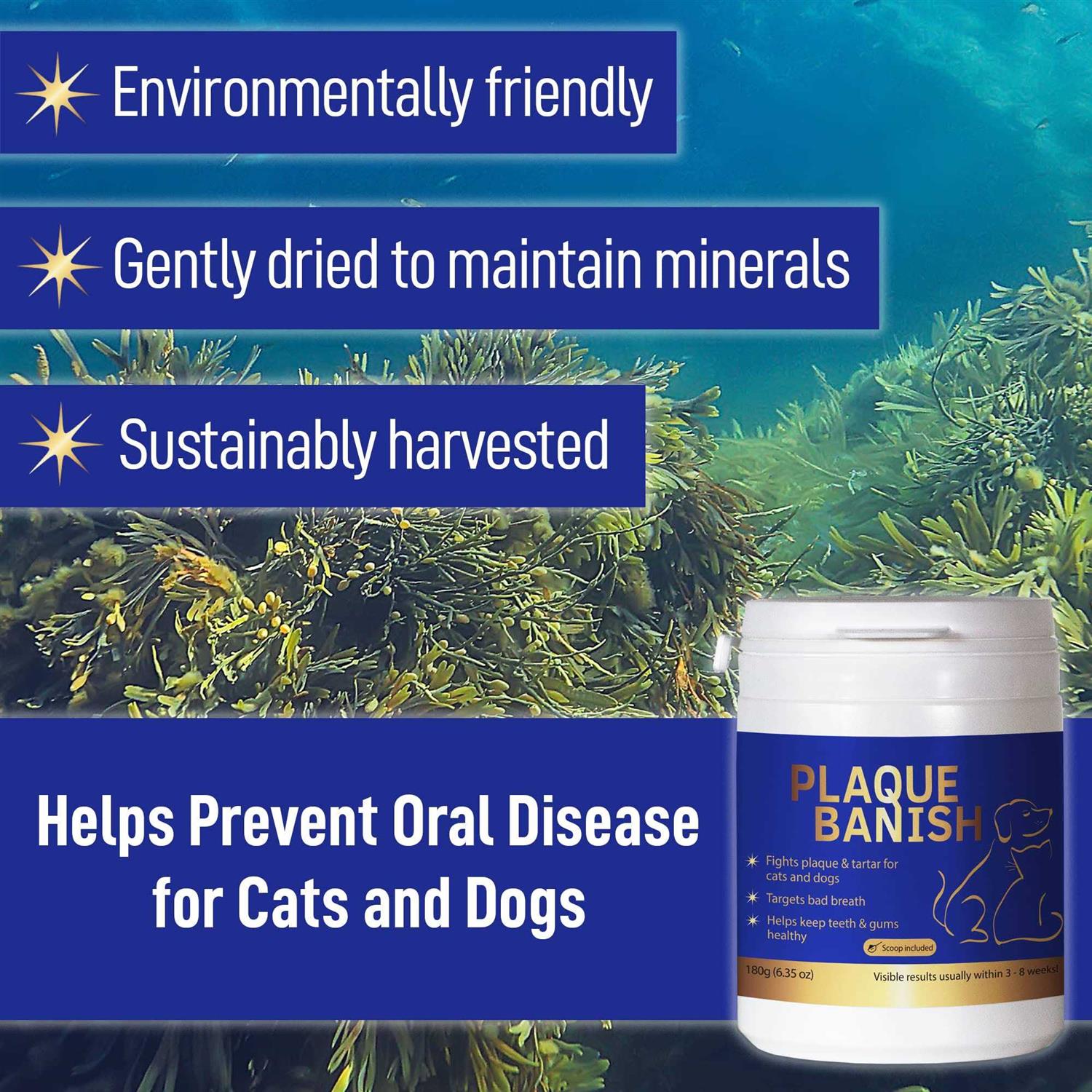Plaque Banish 100% Natural Plaque Off & Tartar Remover For Dogs & Cats - Healthber