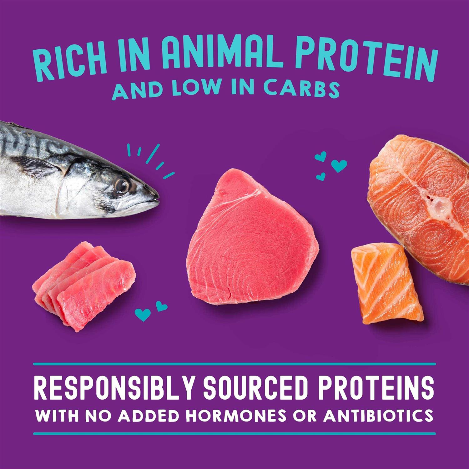 Stella & Chewy’s Carnivore Cravings Chicken Recipe Cat Food - Healthber