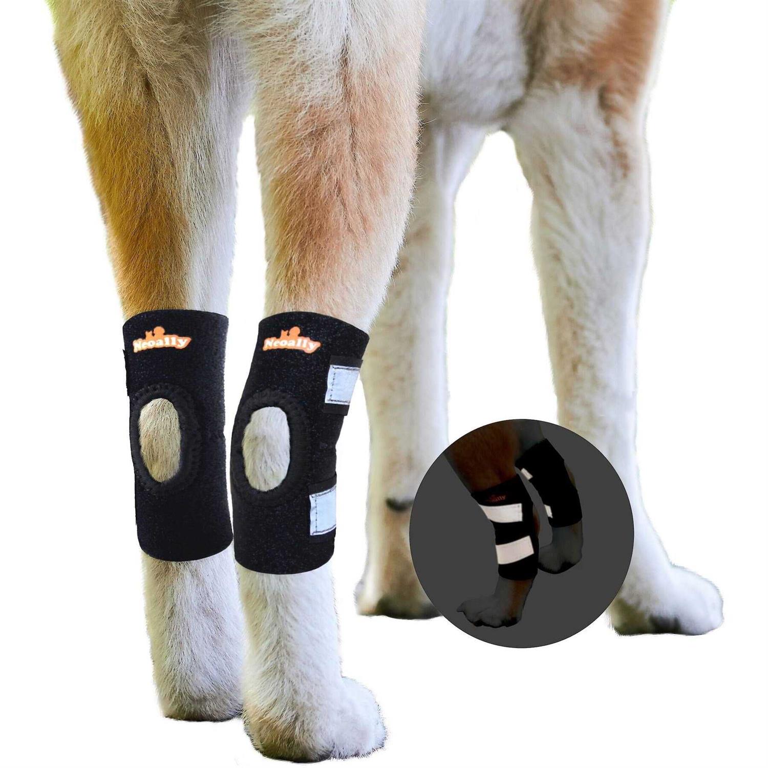 NeoAlly Dog Rear Leg Brace Canine Hock Ankle Support with Safety Reflective Straps for Hind Leg Wounds Heal and and - Healthber