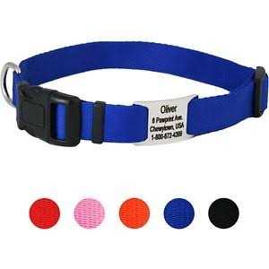 GoTags Adjustable Nameplate Personalized Dog Collar - Healthber