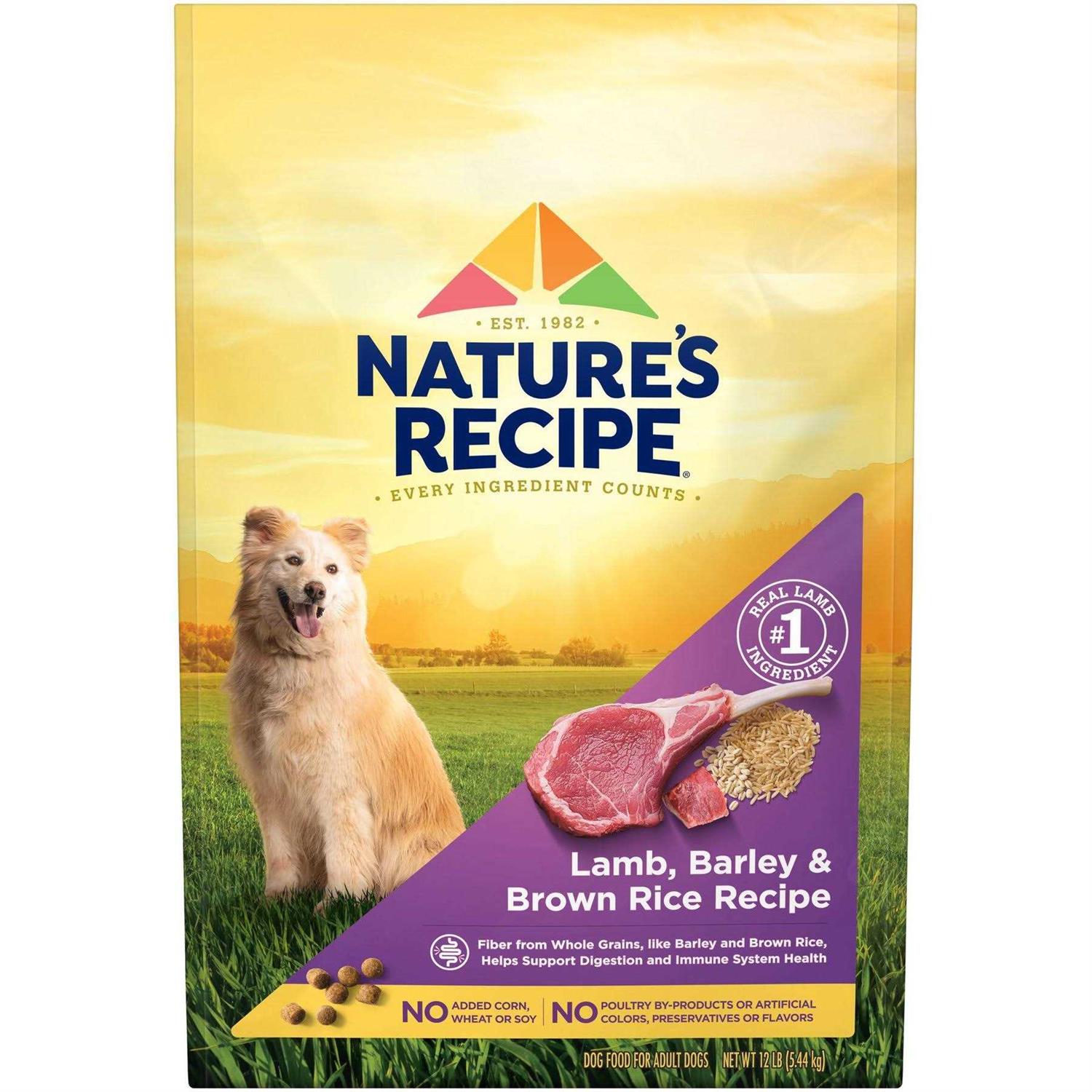 Nature’s Recipe Adult Dry Dog Food - Healthber