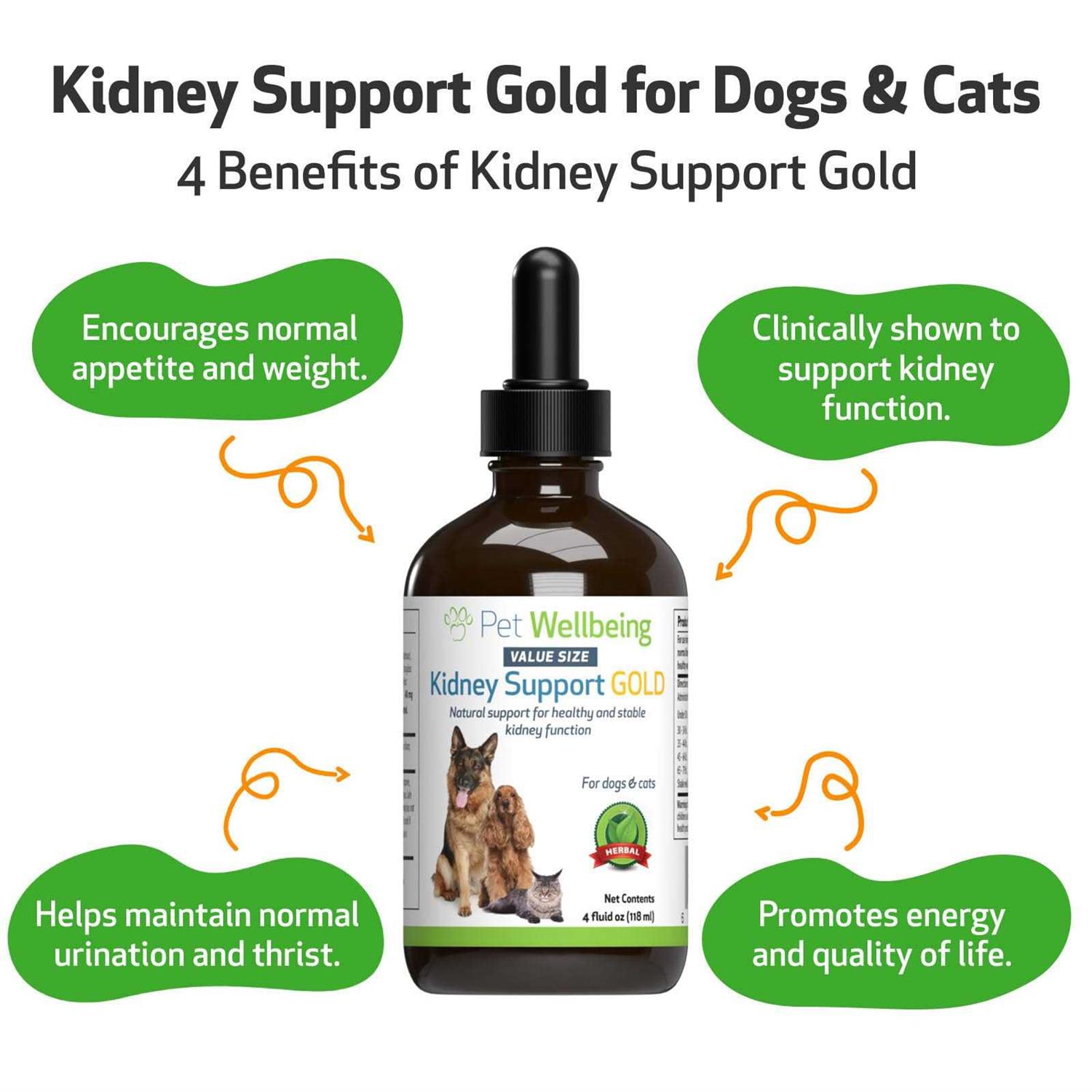 Pet Wellbeing Kidney Support Gold for Dogs - Healthber