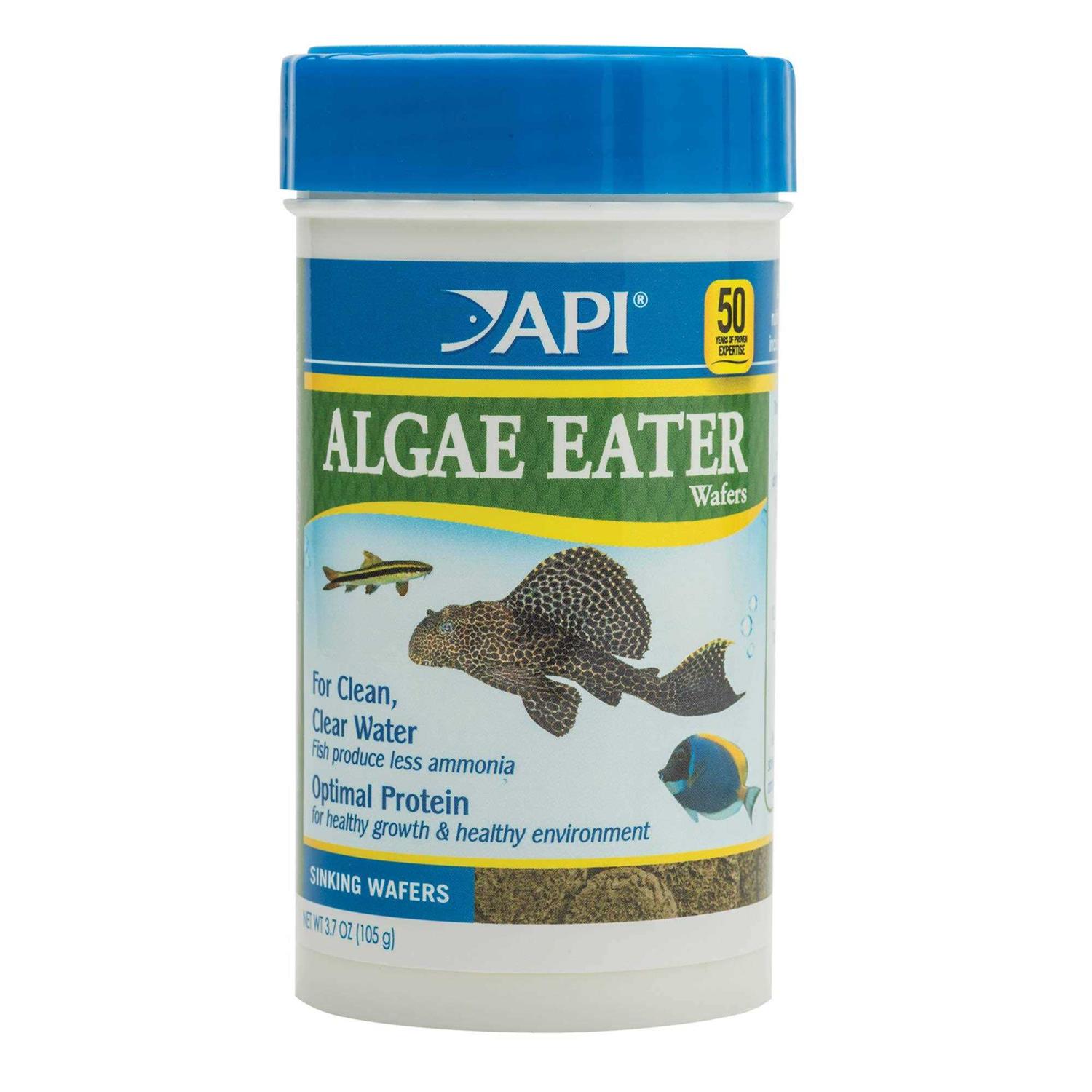 API Algae Eater Algae Wafers - Healthber