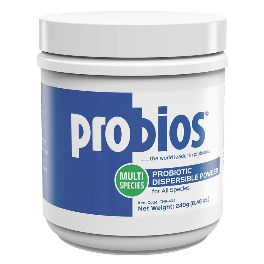 Probios Dispersible Powder - Healthber
