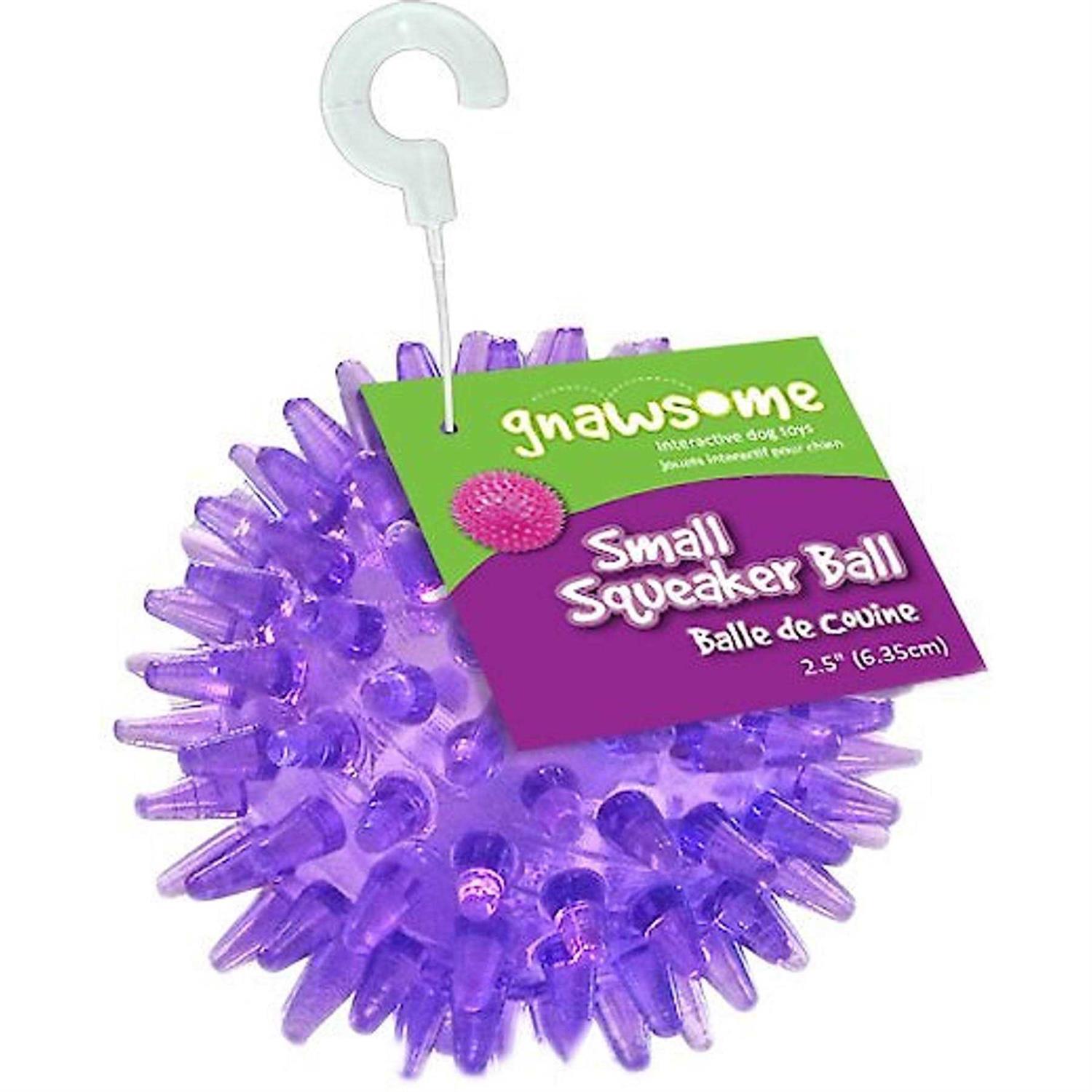 Gnawsome Squeaker Ball Dog Toy - Healthber