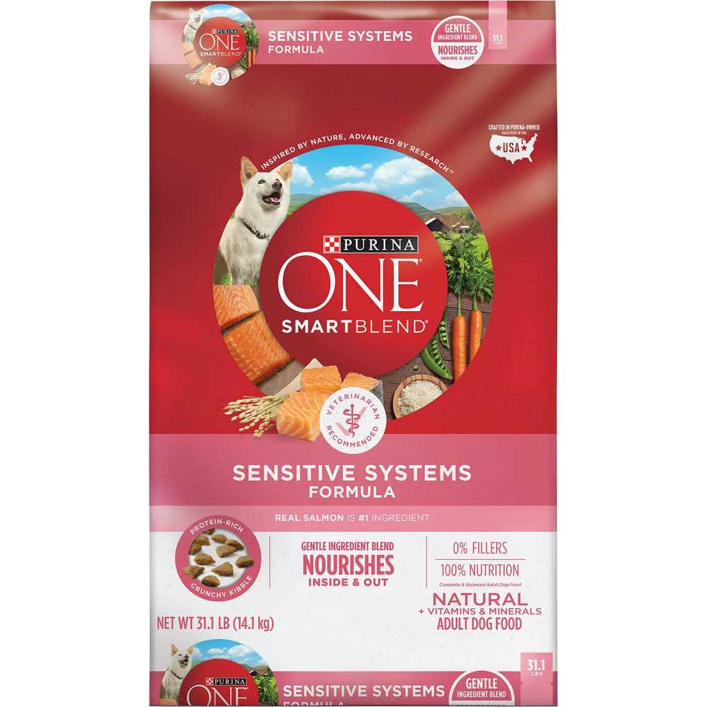Purina ONE +Plus Skin & Coat Formula Dry Dog Food - Healthber