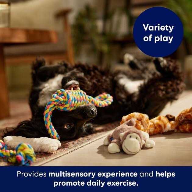 Frisco Jungle Pals Plush & Rope Variety Pack Dog Toy - Healthber