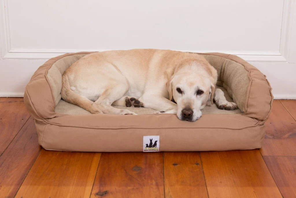 EZ-Wash Poly Headrest Dog Bed, Large - Healthber