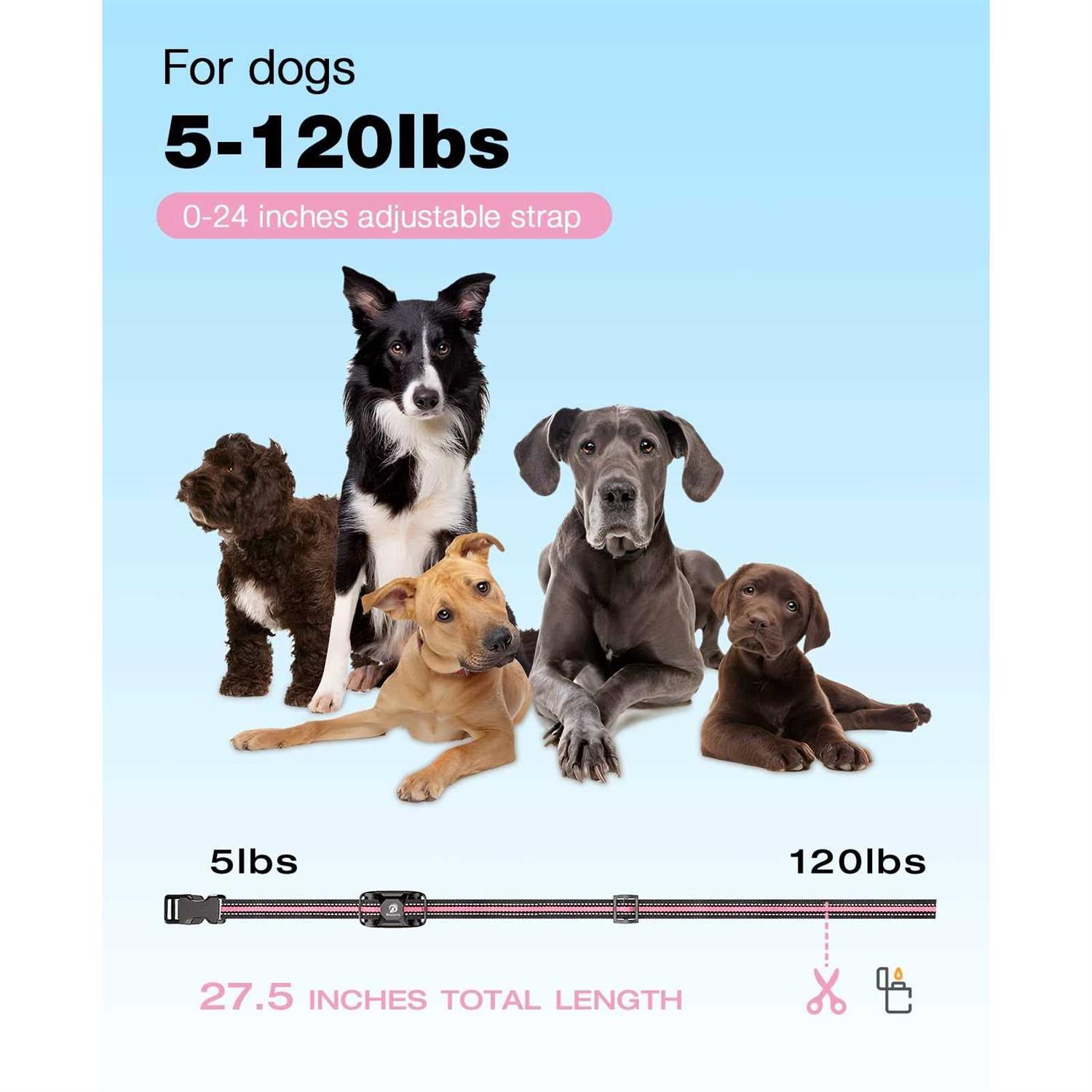 Bousnic Dog Shock collar 3300Ft Dog Training collar with Remote for 5-120lbs Small Medium Large Dogs Rechargeable - Healthber