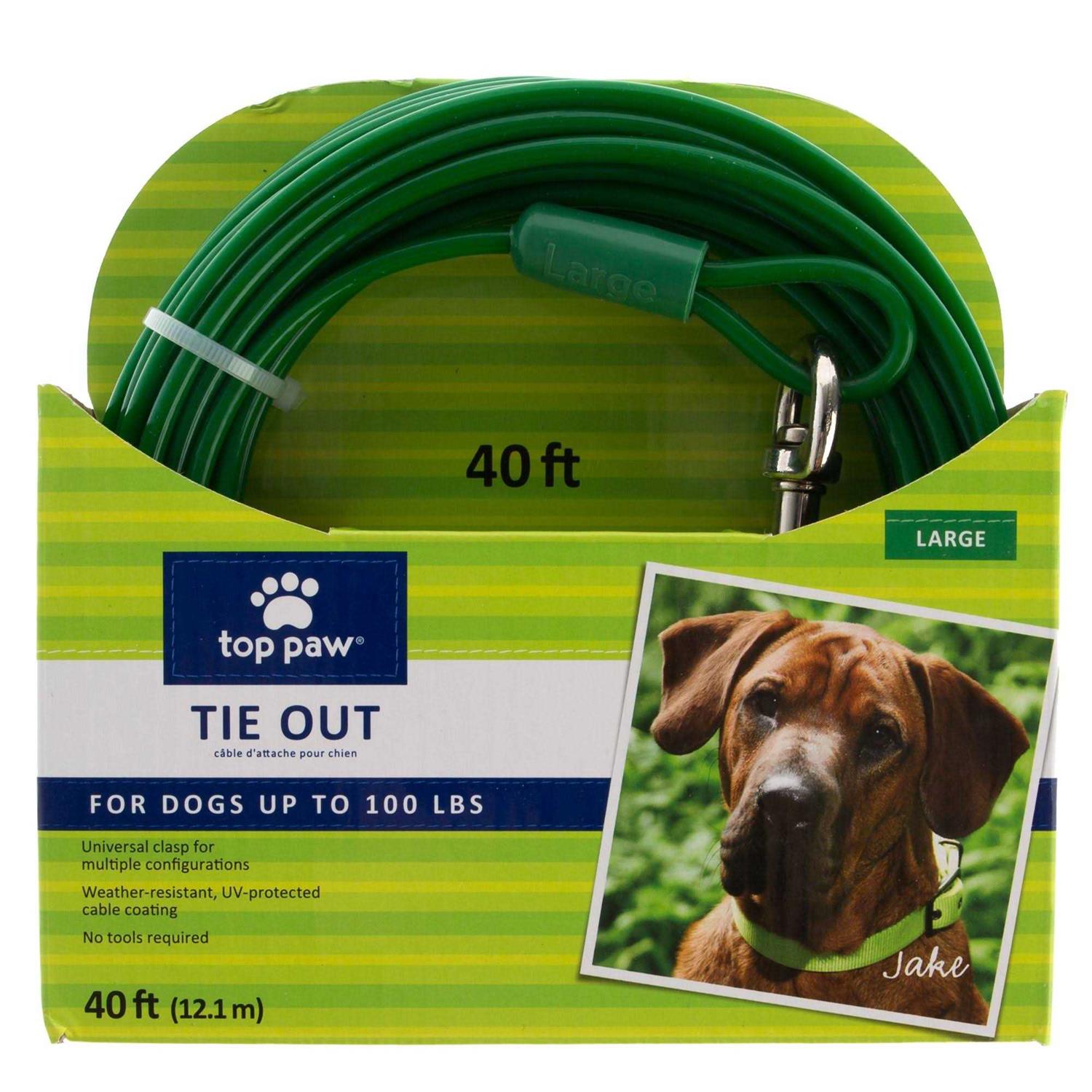 Top Paw Dog Tie Out - Healthber