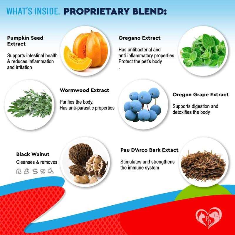 Beloved Pets Cats & Dogs Liquid Herbal Medicine & Natural Broad Spectrum Treatment for Tapeworm, Whipworm, Roundworm, and Hookworm - Healthber
