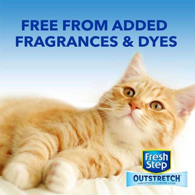 Fresh Step Outstretch Concentrated Clumping Cat Litter Unscented - Healthber