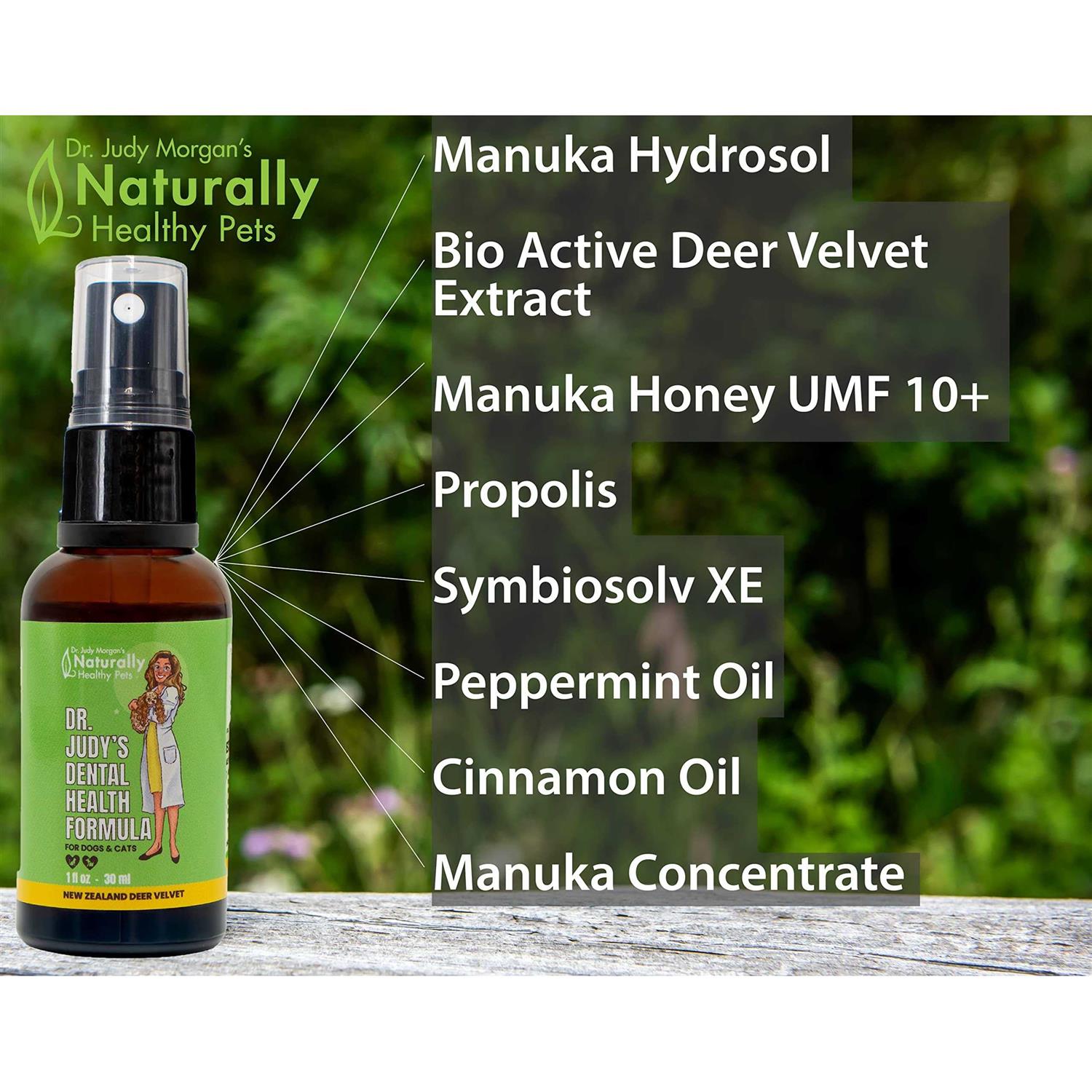 Dr. Judy Morgan’s Dental Health Formula for Dogs & Cats Spray Top - Healthber
