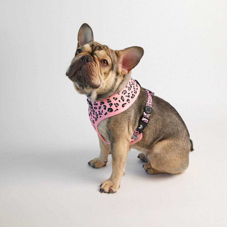 Lil Monster Pets Neoprene Reversible Dog Harness - Healthber