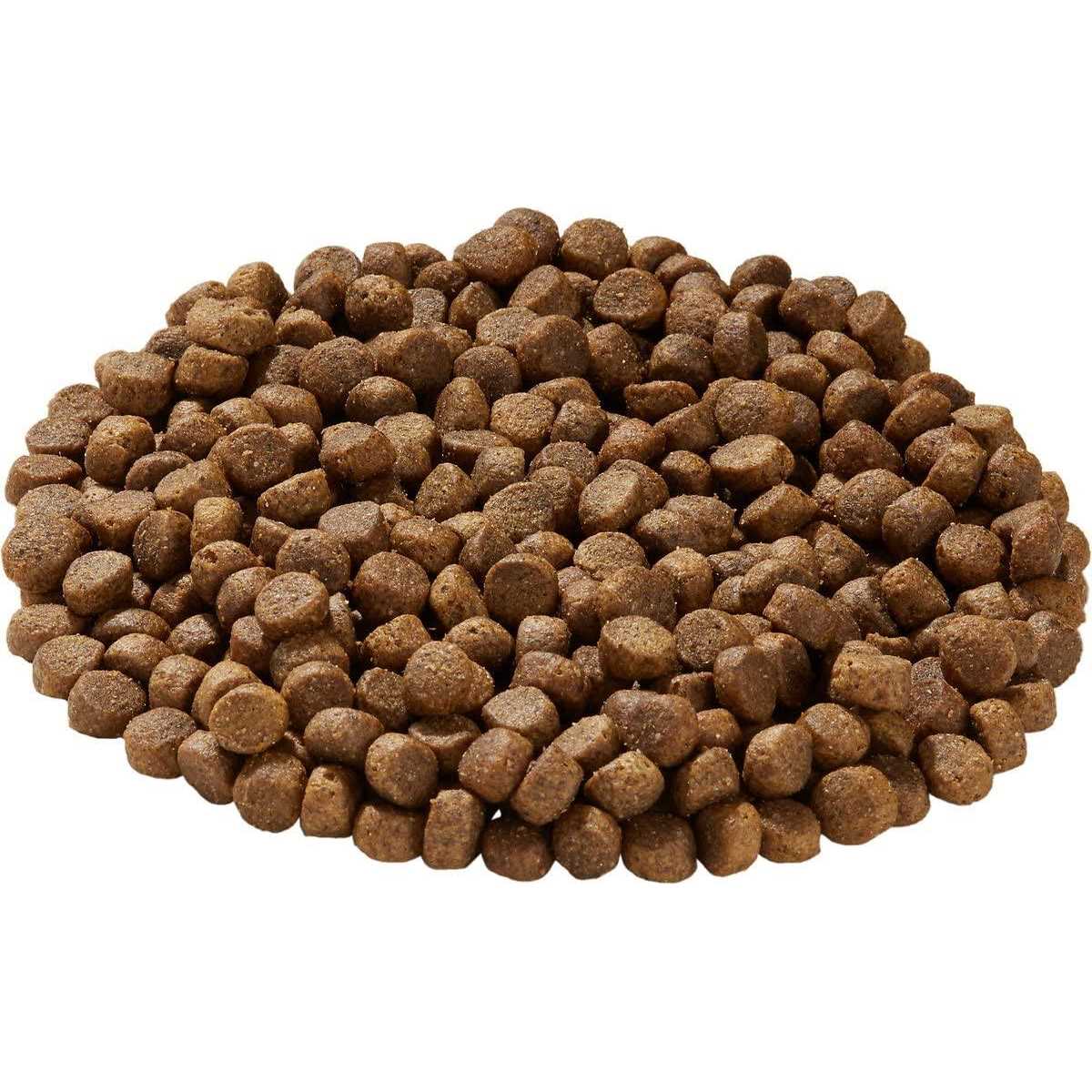 Health Extension Lite Chicken & Brown Rice Dry Dog Food - Healthber