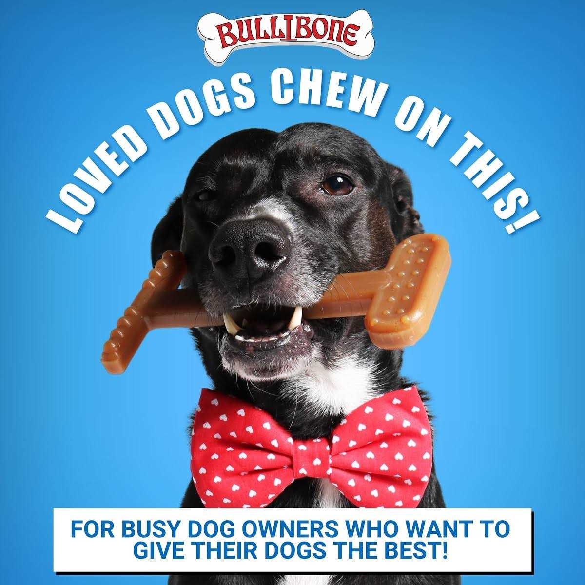 Bullibone Nylon Dog Chew Toy Nylon Bone Improves Dental Hygiene Easy to Grip Bottom and Permeated with Flavor - Healthber