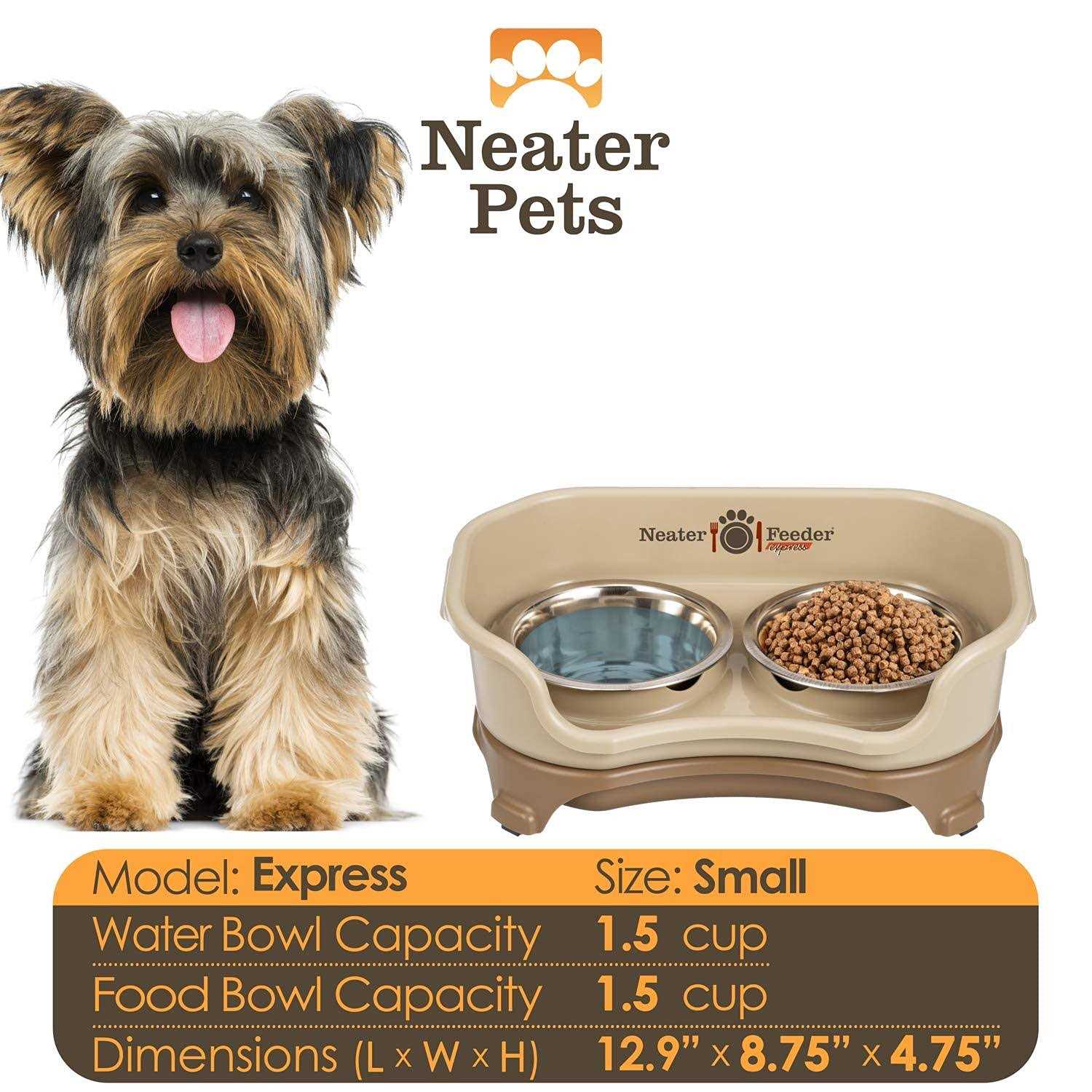 Express Neater Feeder - Healthber