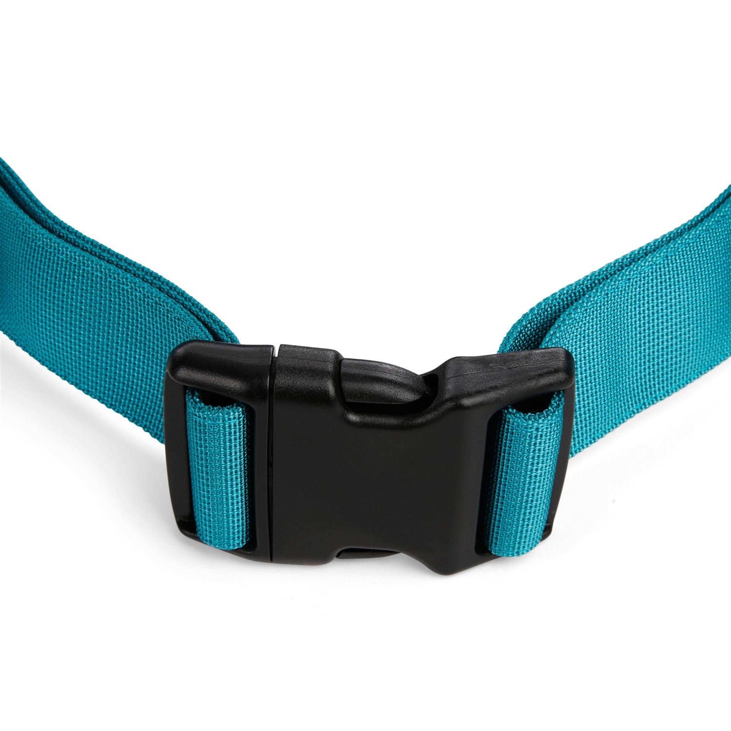 EveryYay Settin’ the Pace Running Belt & Leash Set for Dogs - Healthber