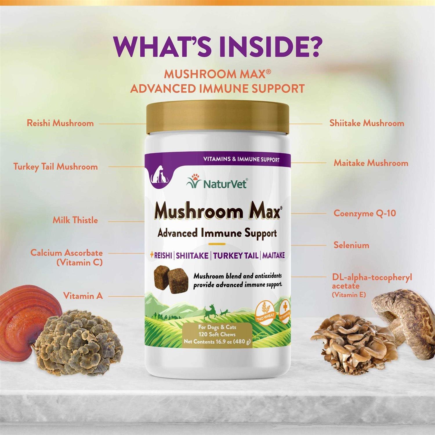 NaturVet Mushroom Max Advanced Immune Support Soft Chews - Healthber