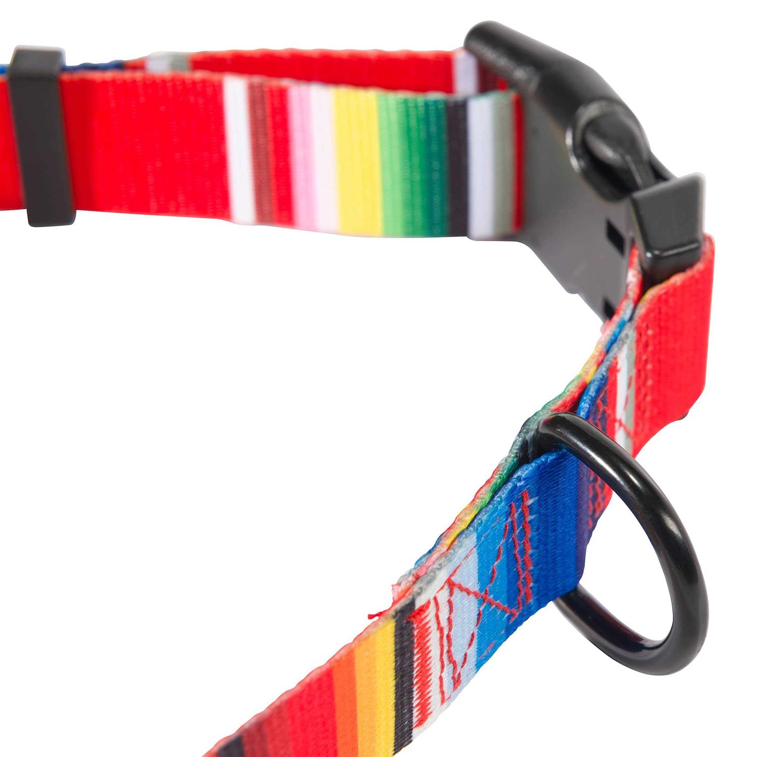 Hooey Nomad Dog Collar - Healthber