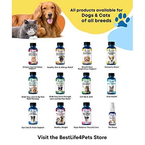 Bestlife4pets All-Natural Healthy Skin and Allergy Relief For Cats - Healthber
