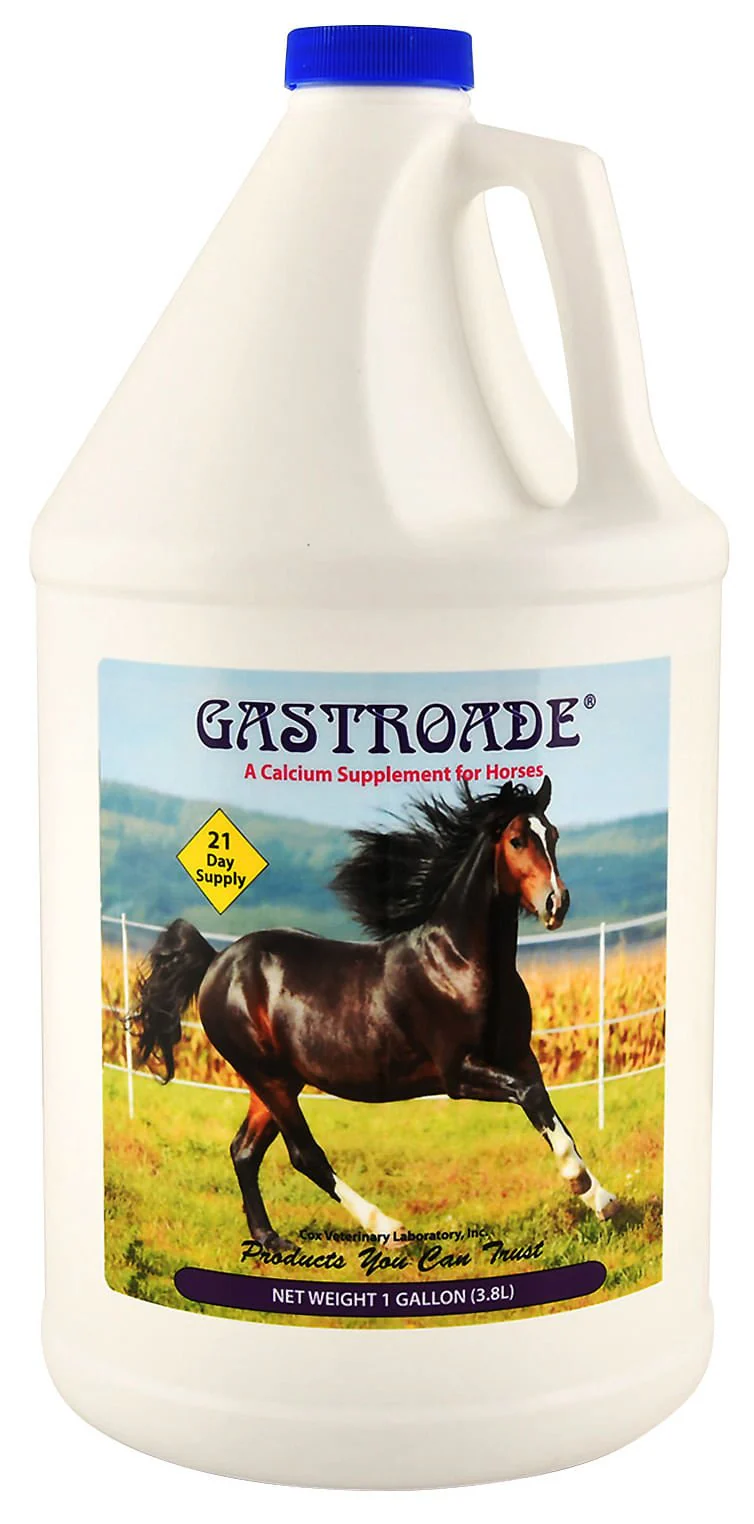 Gastroade Liquid GI Supplement for Horses - Healthber