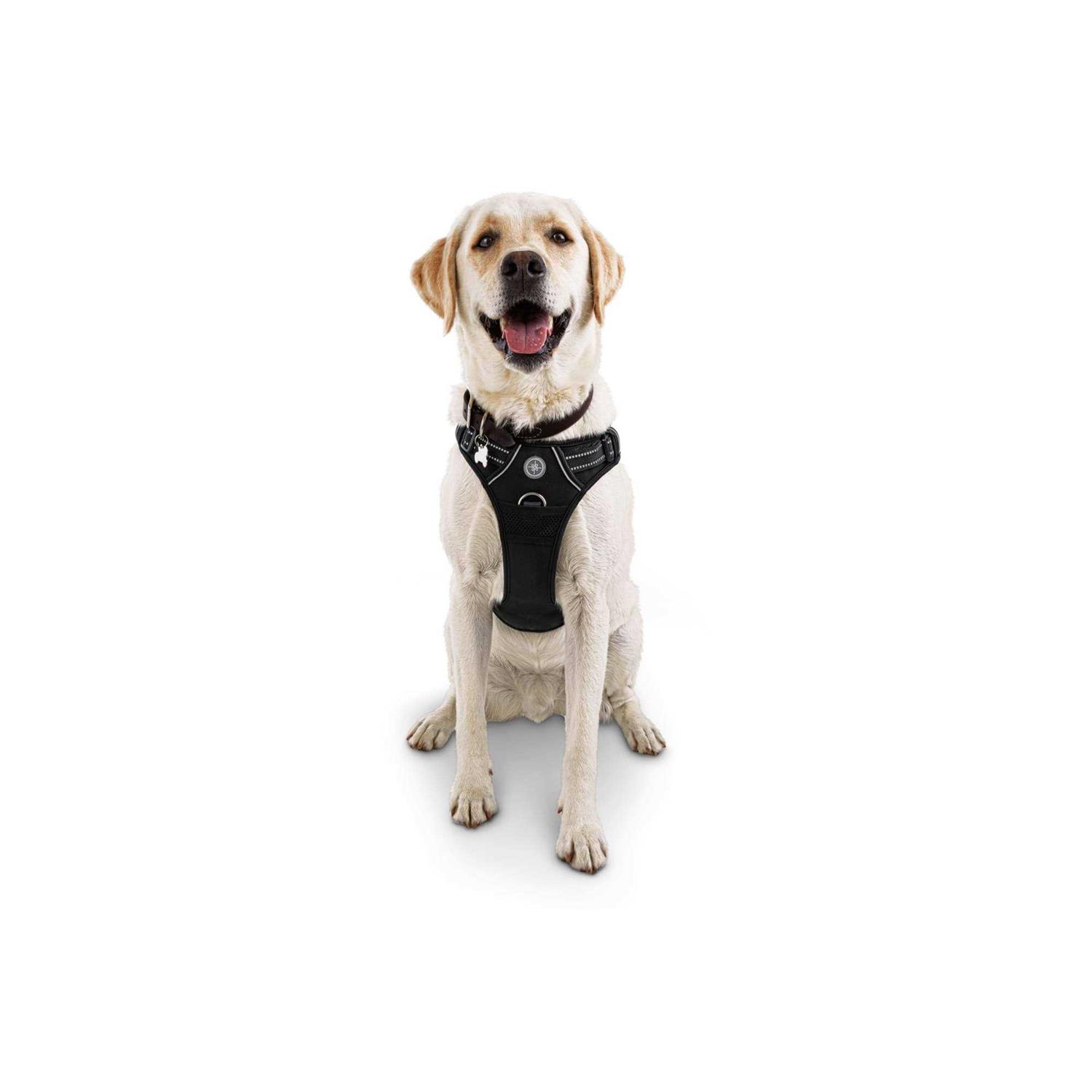 EveryYay Embrace the Pace Black Front Walking Dog Harness - Healthber