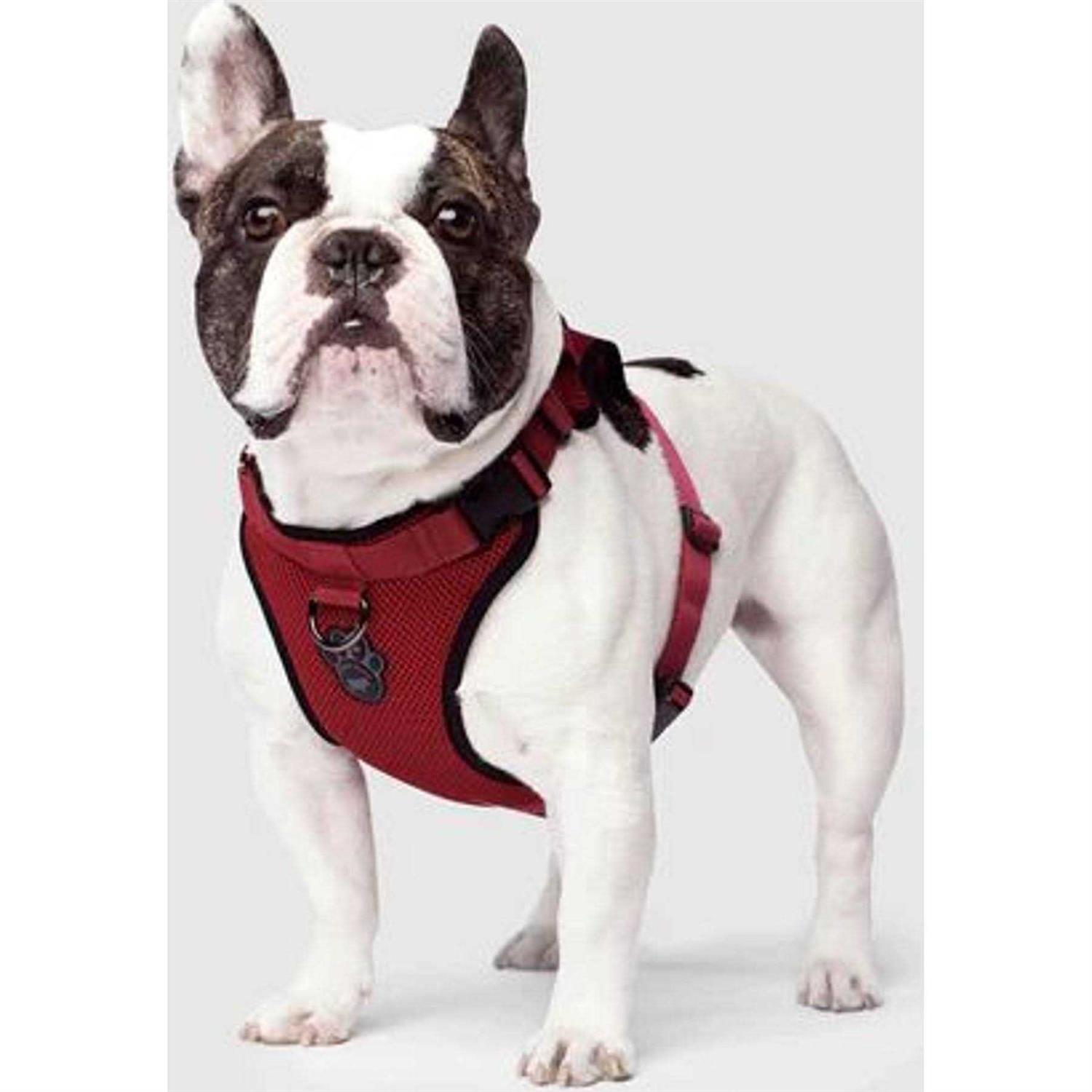 Canada Pooch Dog Everything Harness - Healthber