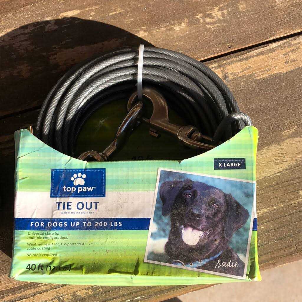 Top Paw Dog Tie Out - Healthber