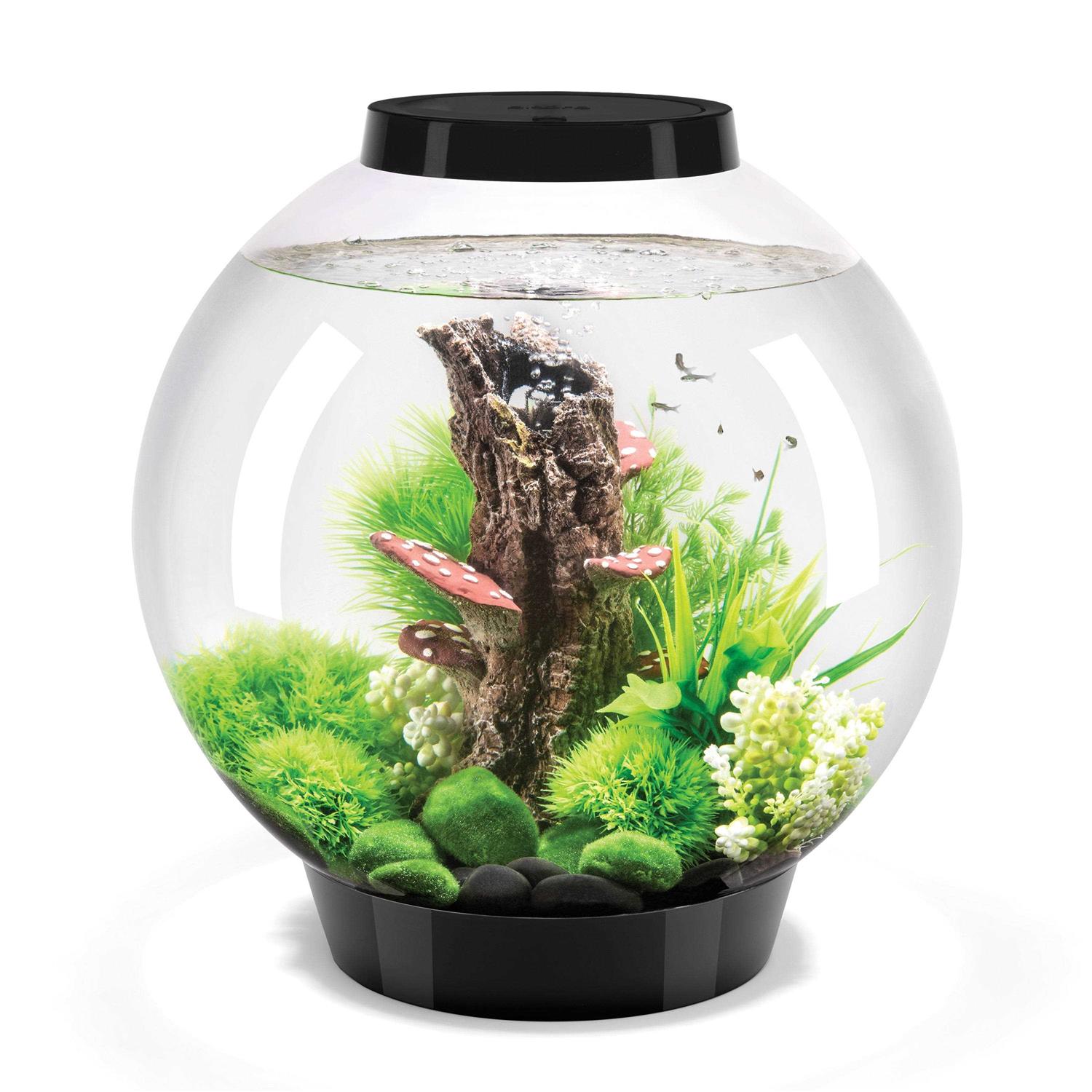 biOrb Classic 60 Aquarium with LED - Healthber