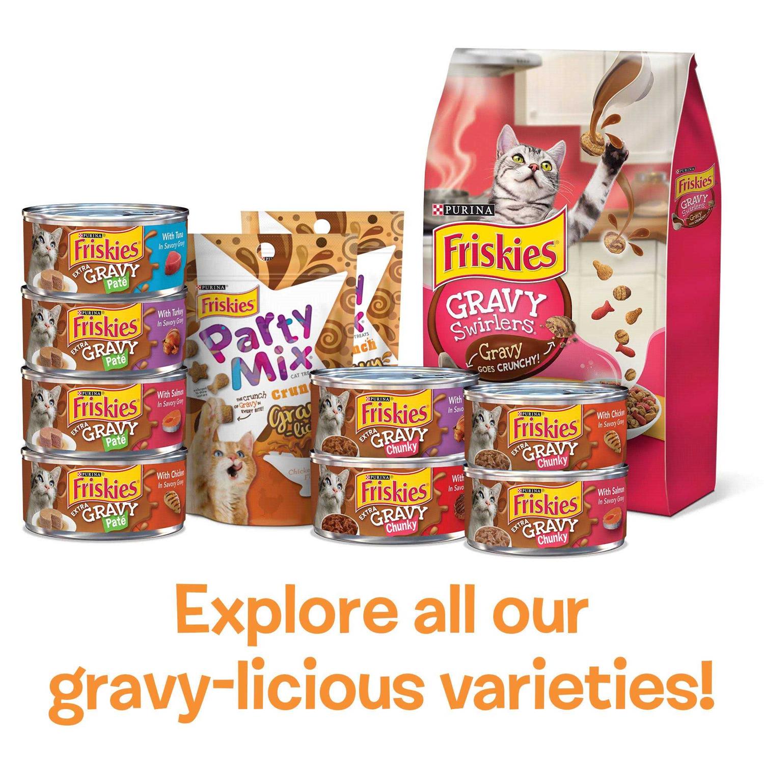 Purina Friskies Extra Gravy Chunky Wet Cat Food Variety Pack - Healthber