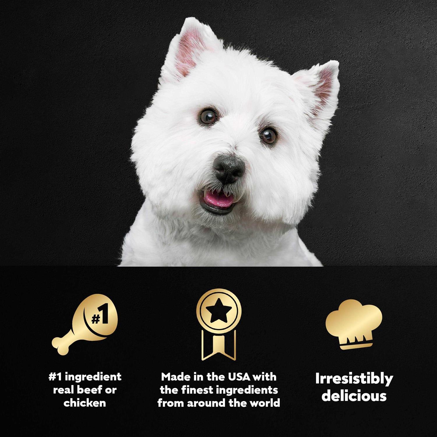 Cesar Steak Lovers Variety Pack Wet Dog Food - Healthber