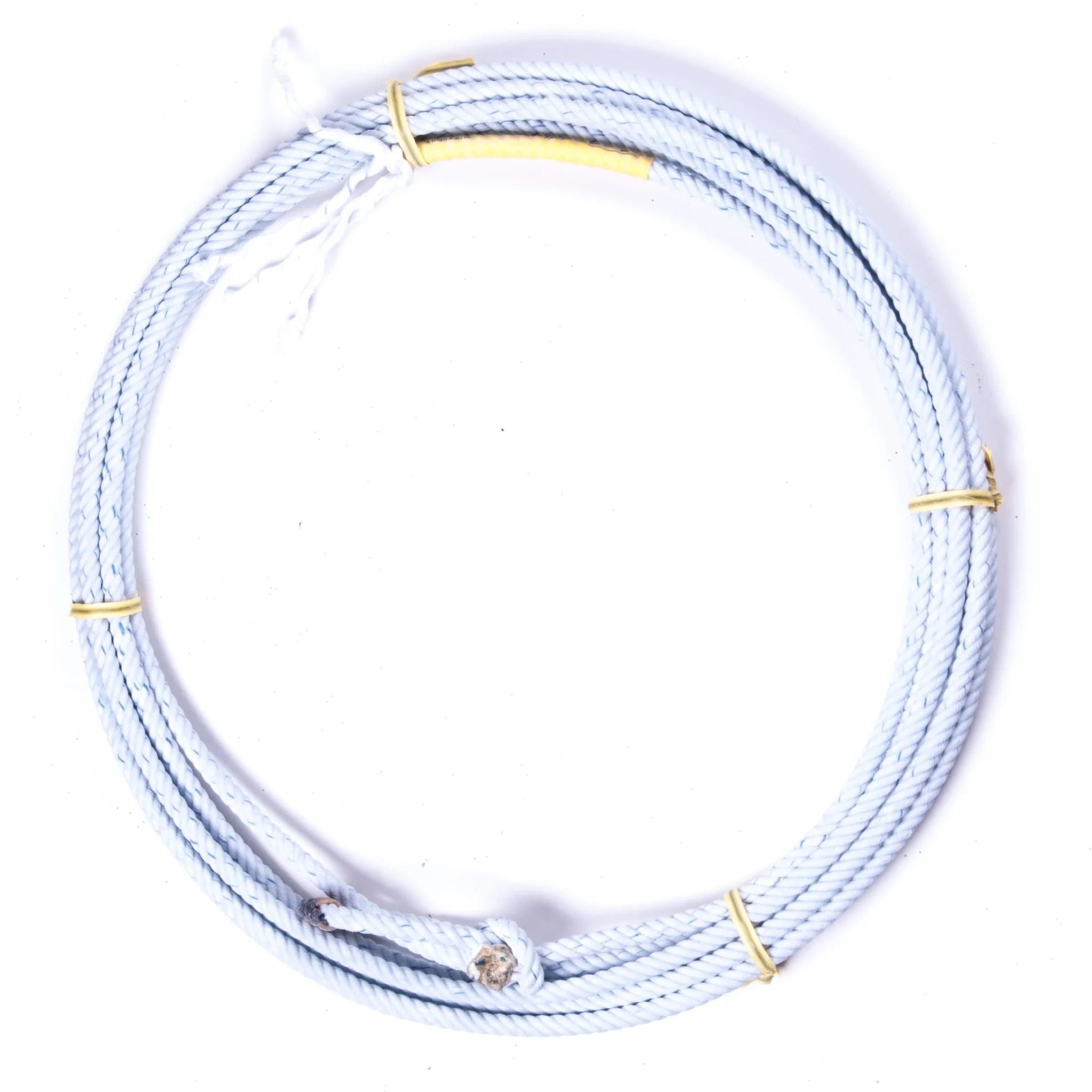 Cactus Saddlery Shockwave Poly Youth Rope - Healthber
