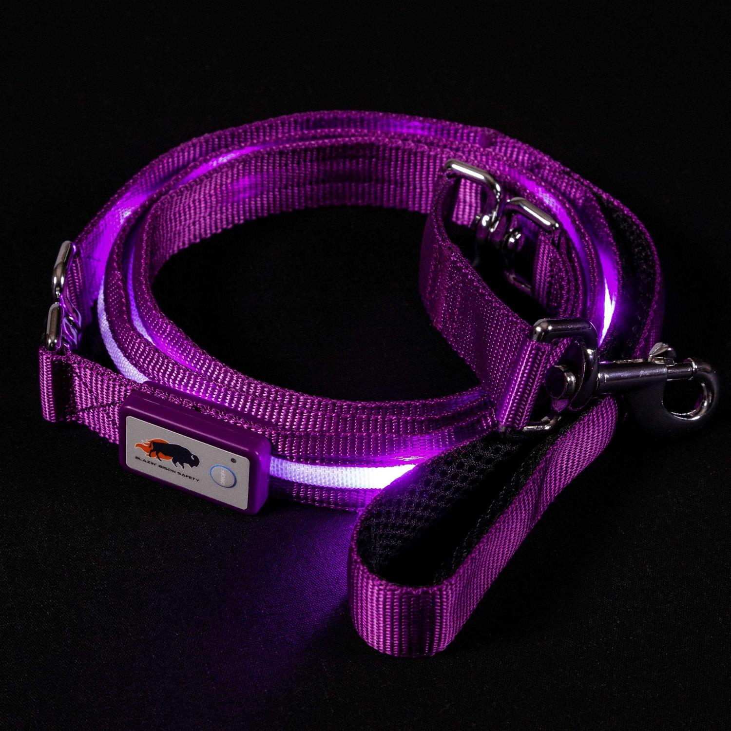 Blazin Safety LED Dog Leash USB Rechargeable Flashing Light - Healthber