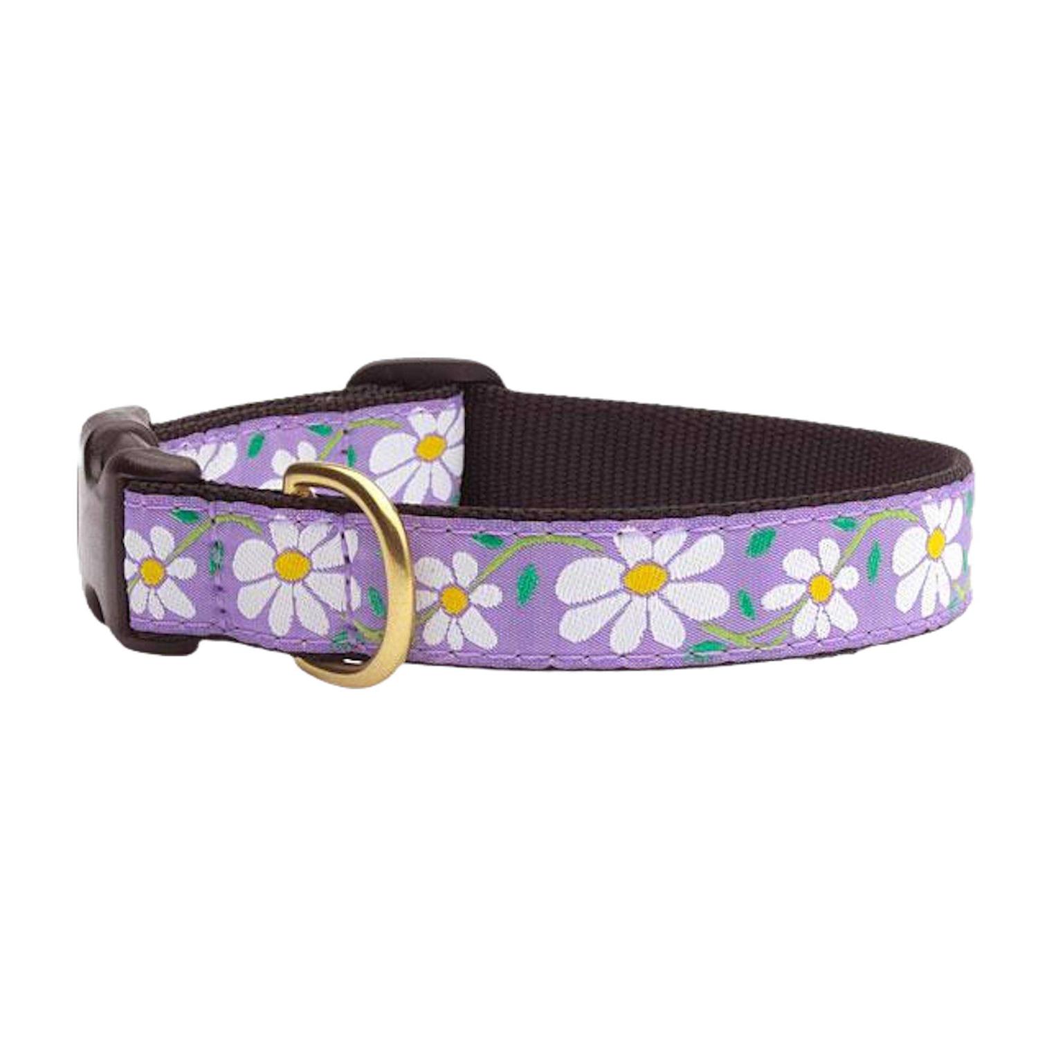 Up Country Daisy Dog Collar - Healthber