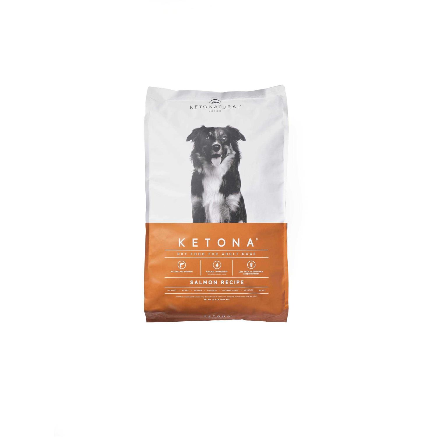 Ketona Salmon Recipe Adult Dry Dog Food Natural Low Carb High Protein - Healthber