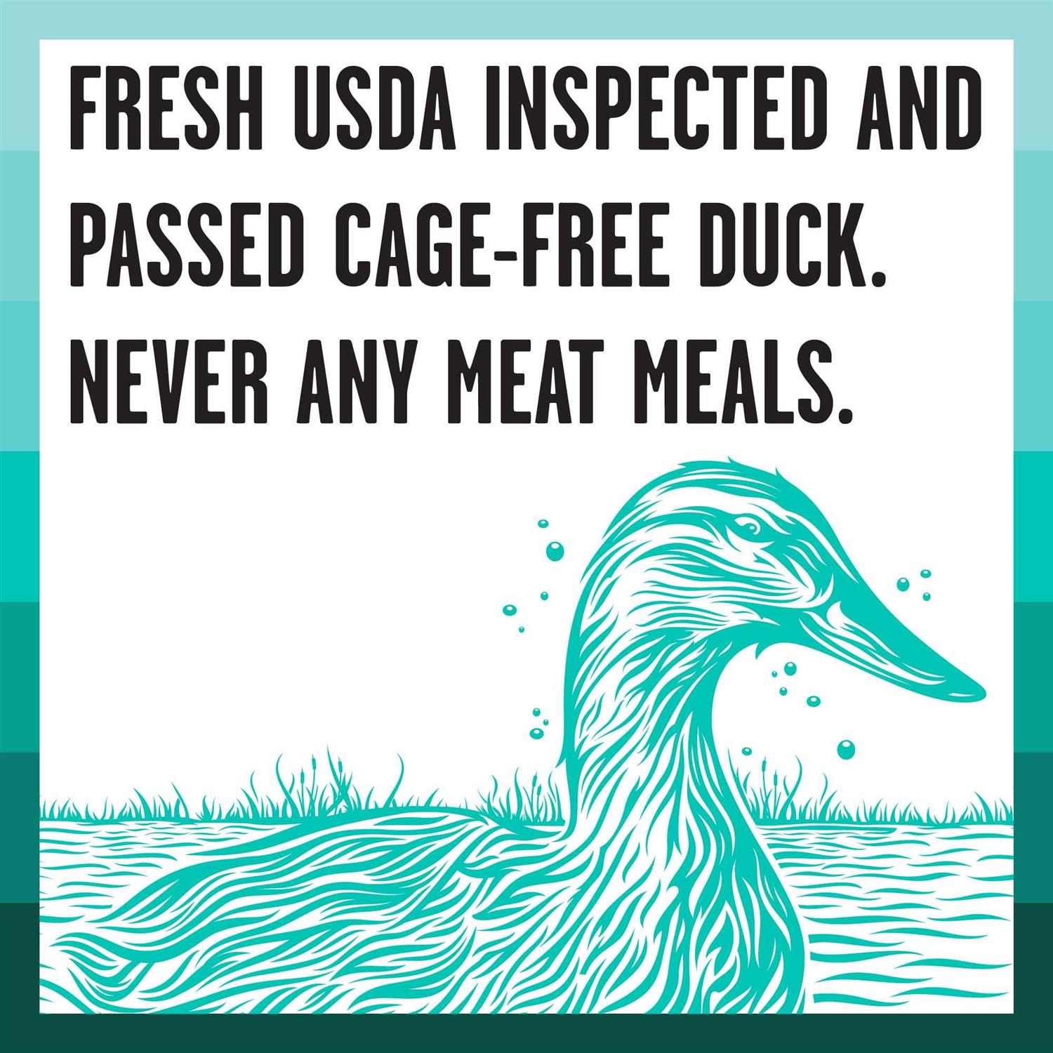 BIXBI Rawbble Duck Recipe Dry Dog Food - Healthber