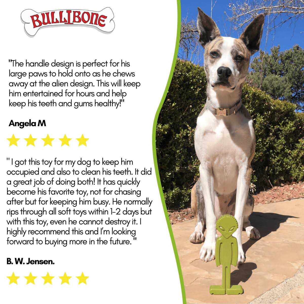 Bullibone Small Alien Bone Dog Chew Toy for Small Dogs With Easy Hold Grips - Healthber
