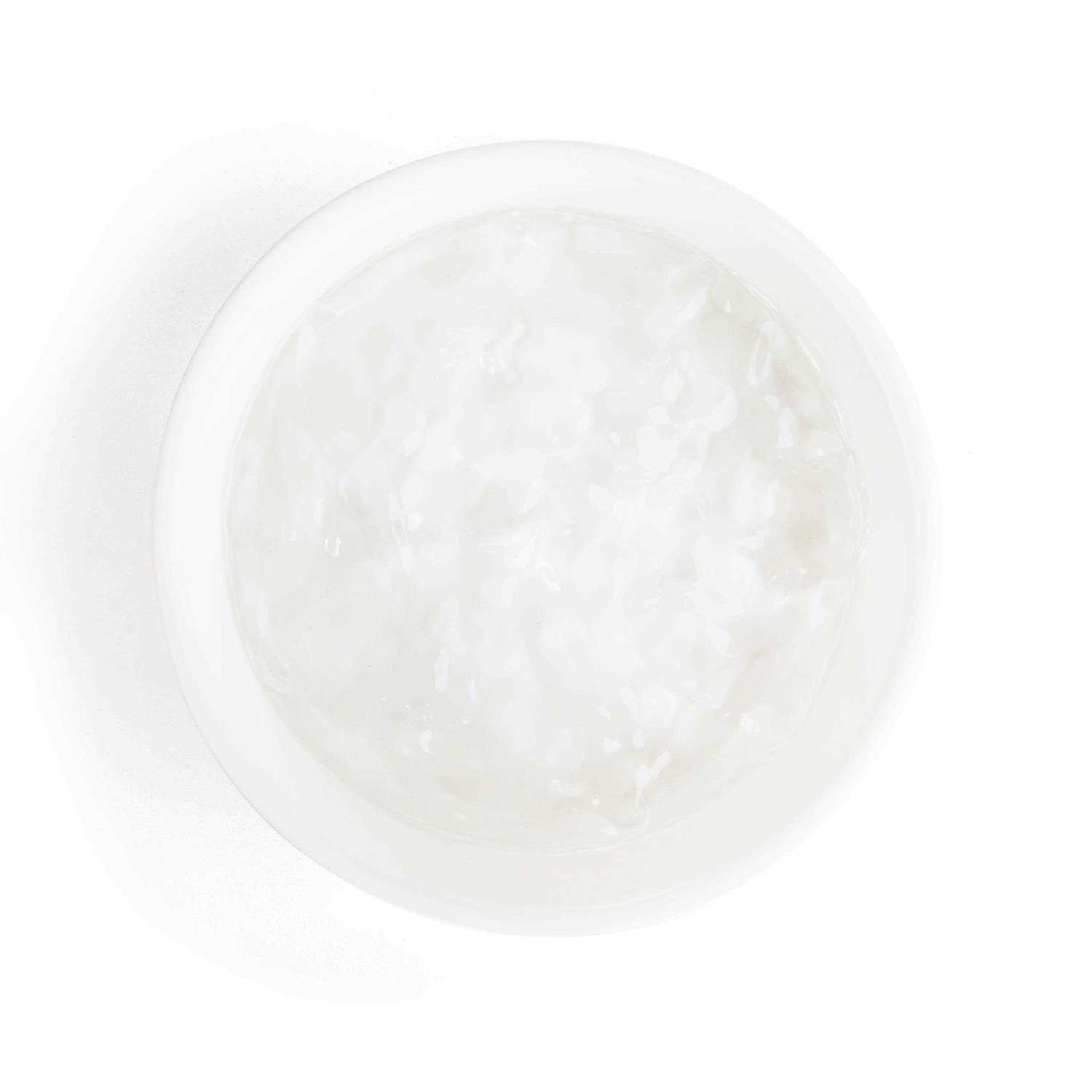 EveryYay Ceramic Wave Dog Bowl - Healthber