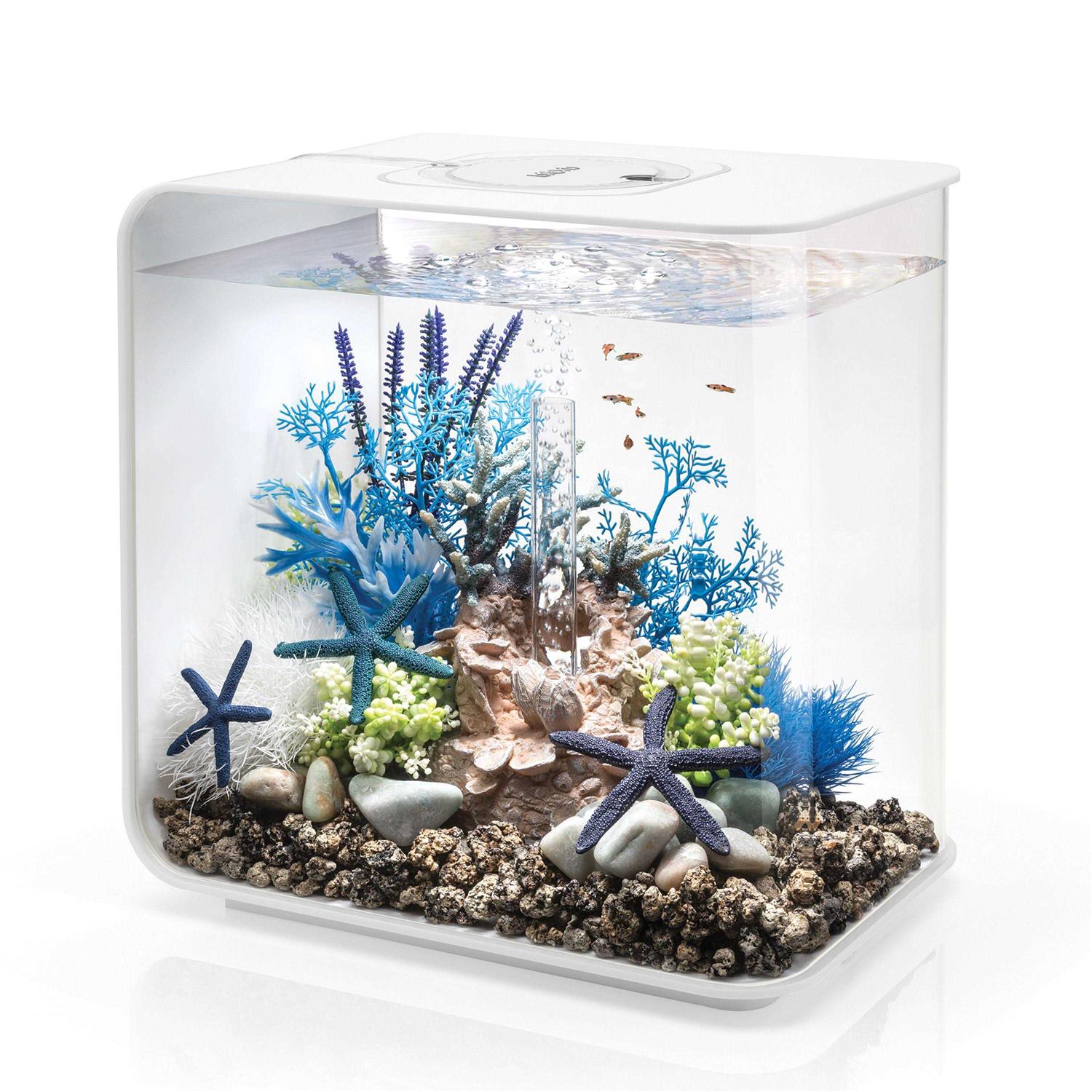 biOrb FLOW LED - Healthber