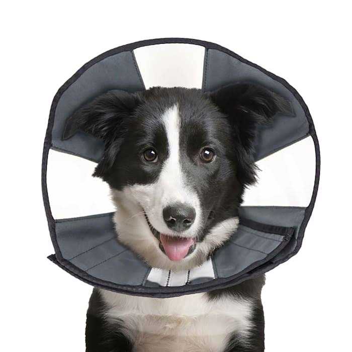 ZenPet ProCone Pet E-Collar for Dogs and Cats - Healthber
