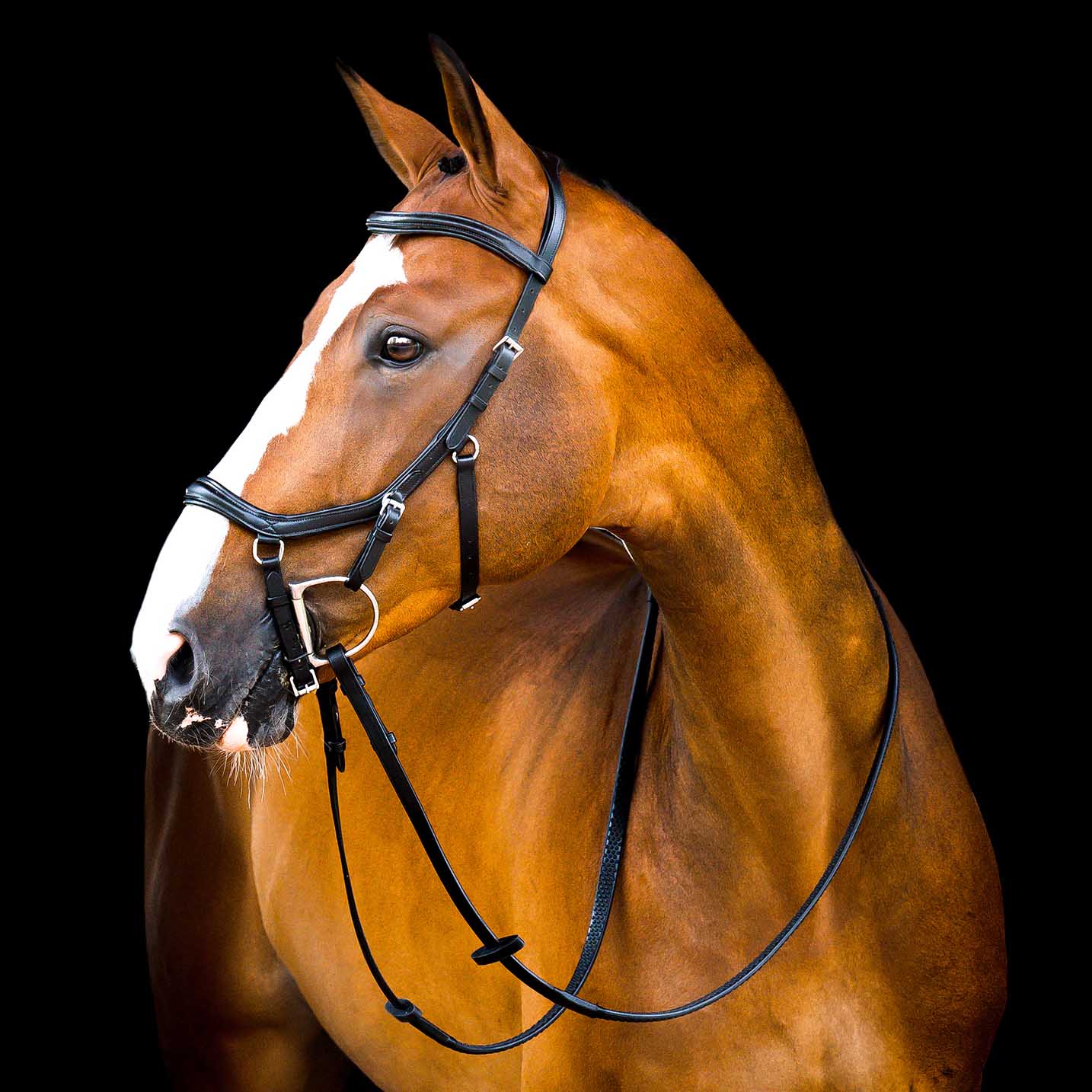 Micklem 2.0 Deluxe Competition Bridle, Black - Healthber