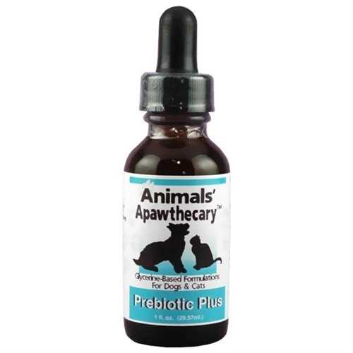 Animal Essentials Healthy Gut Prebiotic Dog & Cat Supplement, 1-oz - Healthber