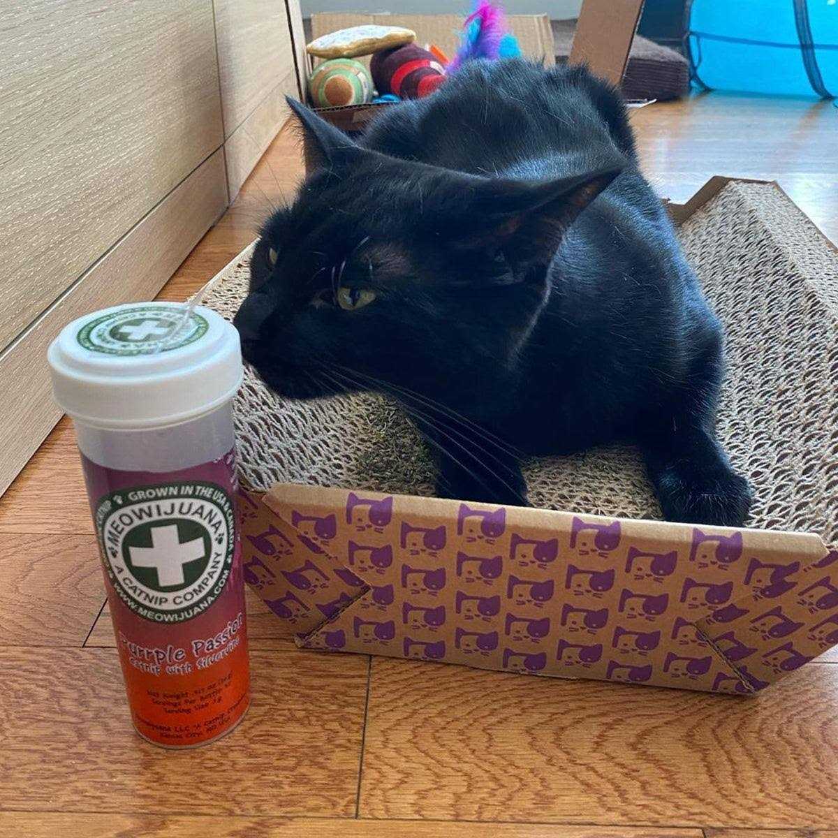 Meowijuana Purrple Passion Catnip - Healthber