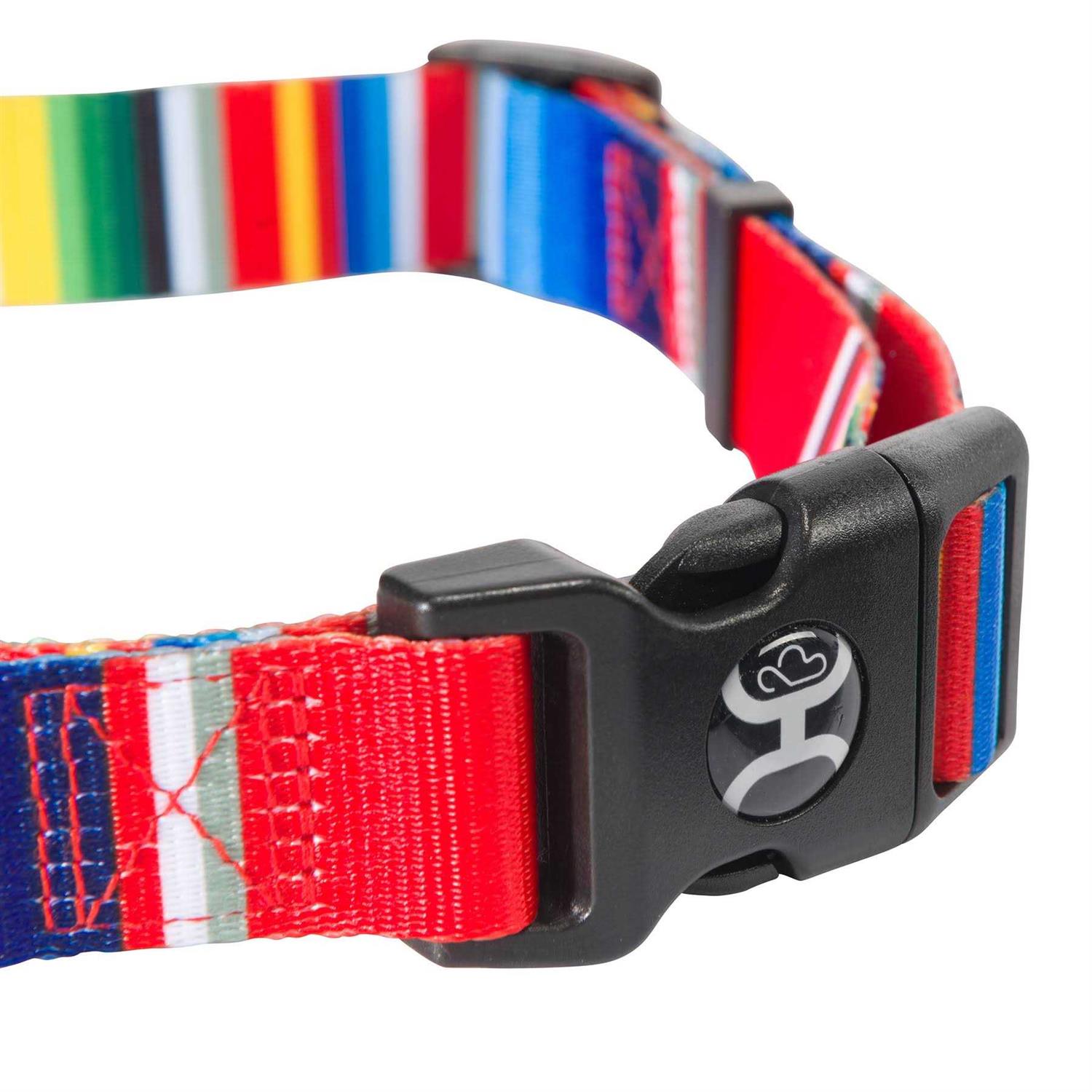 Hooey Nomad Dog Collar - Healthber