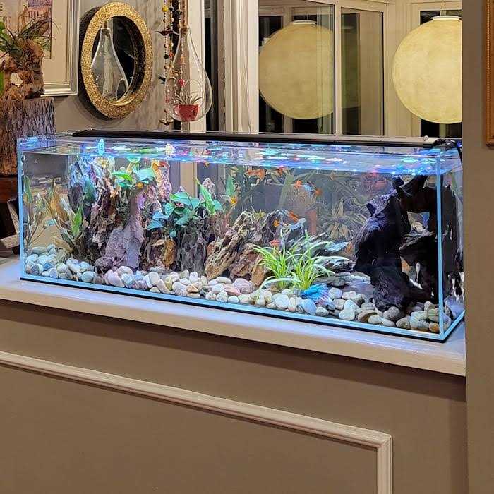 Lifegard Aquatics Crystal Bookshelf Aquarium - Healthber