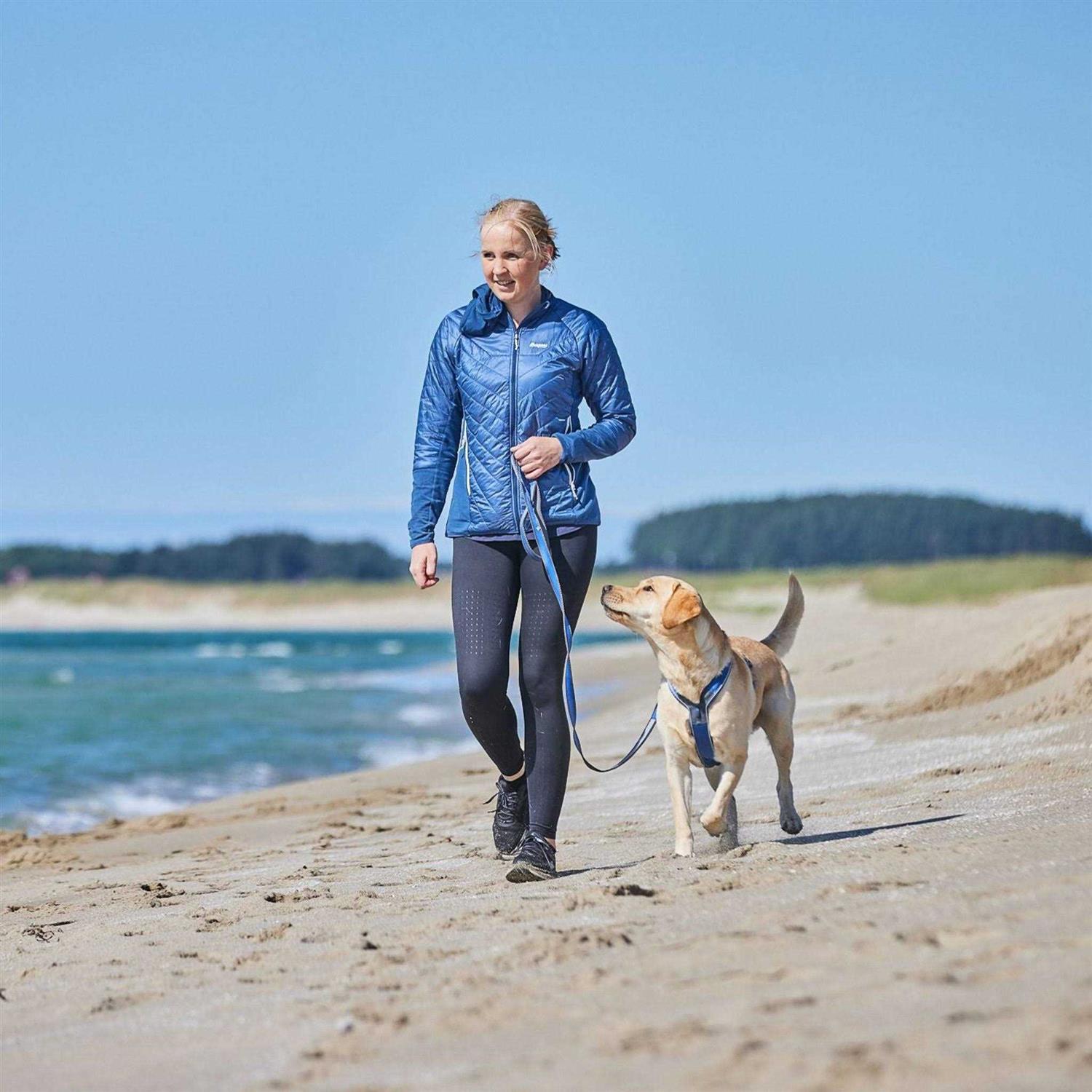 Non-Stop Dogwear Line Harness / Size - Healthber